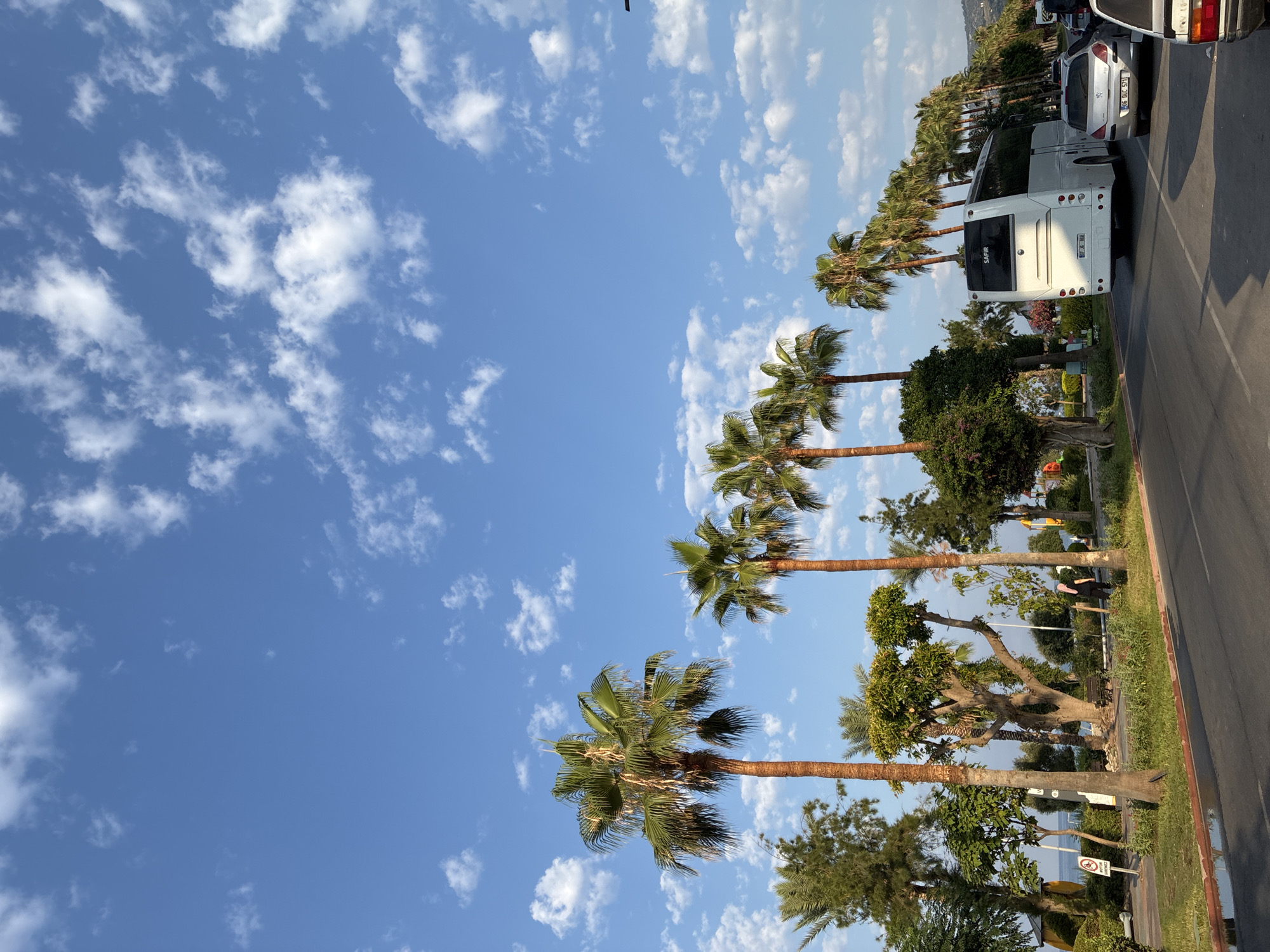 A daytime, wide-angle shot captures a street lined with palm trees in Alanya, Turkey. The sky is a vibrant blue, dotted with fluffy white clouds. On the right side of the road, a white tour bus with "SAFİR" written on its back is prominent, followed by a silver car. The road itself is asphalt, with a wet sheen suggesting recent rain or a puddle. To the left of the road, a grassy median separates it from a pedestrian walkway. This walkway is bordered by a variety of trees, including palm trees, and a small park area with benches and playground equipment in the distance. A person wearing a dark top and a pink headscarf is visible walking on the pedestrian path. Further left, a glimpse of the sea can be seen through the trees. A signpost with a symbol of a dog and a prohibition symbol is also present. The overall scene suggests a warm, sunny day in a coastal tourist area.