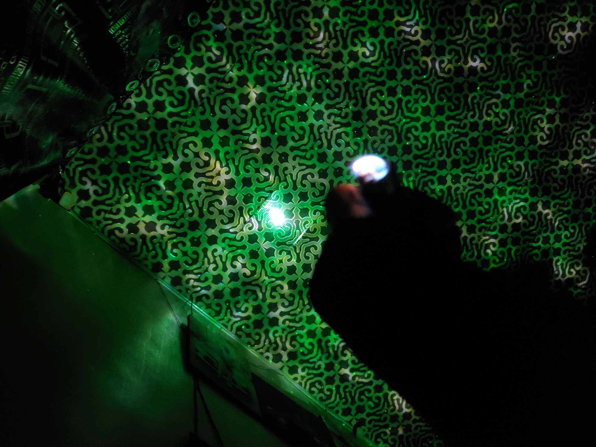 The scene, located in Winters, United States of America, depicts a dimly lit interior. An angled surface dominates the center-left and midground, covered with a repeating, intricate green pattern against a dark background, characterized by scroll-like or curvilinear motifs that exhibit reflective properties under direct light. A bright green laser or focused green light source, originating from the upper left, projects a luminous glow and numerous small, distinct green dots across this patterned surface. In the lower center-right, a human hand is visible in silhouette, grasping a small, cylindrical object that emits a focused circular beam of bright white and blue light. In the upper right background, another dark surface with a grid-like or circuit board-like pattern is visible, intersecting the main patterned surface at an angle. The ambient lighting is low, emphasizing the intense green and white/blue light sources.