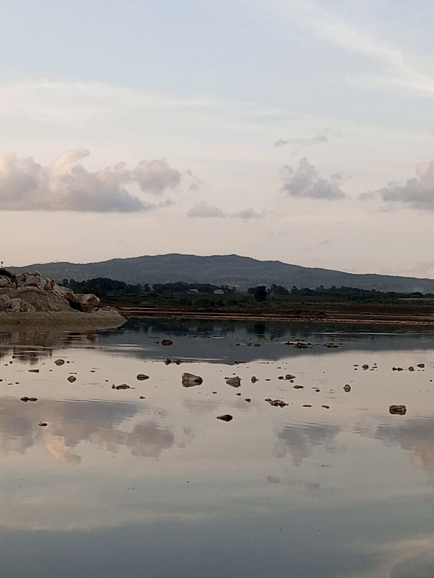 The image depicts a serene, reflective body of water, likely a salt pan or shallow lagoon, characteristic of the coastal environment of Serubeba, Indonesia. The water's surface mirrors the overcast sky, with scattered clouds tinged with pale hues. In the foreground, numerous rocks of varying sizes are dispersed across the water and on the muddy banks.
To the left, a mound of earth and rocks forms a small embankment, some of these rocks exhibiting reddish-brown tones. In the background, a low, undulating mountain range is visible, covered in dense, dark green vegetation. A strip of darker brown land, possibly cultivated fields or marshland, lies between the water and the mountains. The overall atmosphere is tranquil, with the soft light suggesting either early morning or late evening. No individuals are clearly discernible in the frame.
