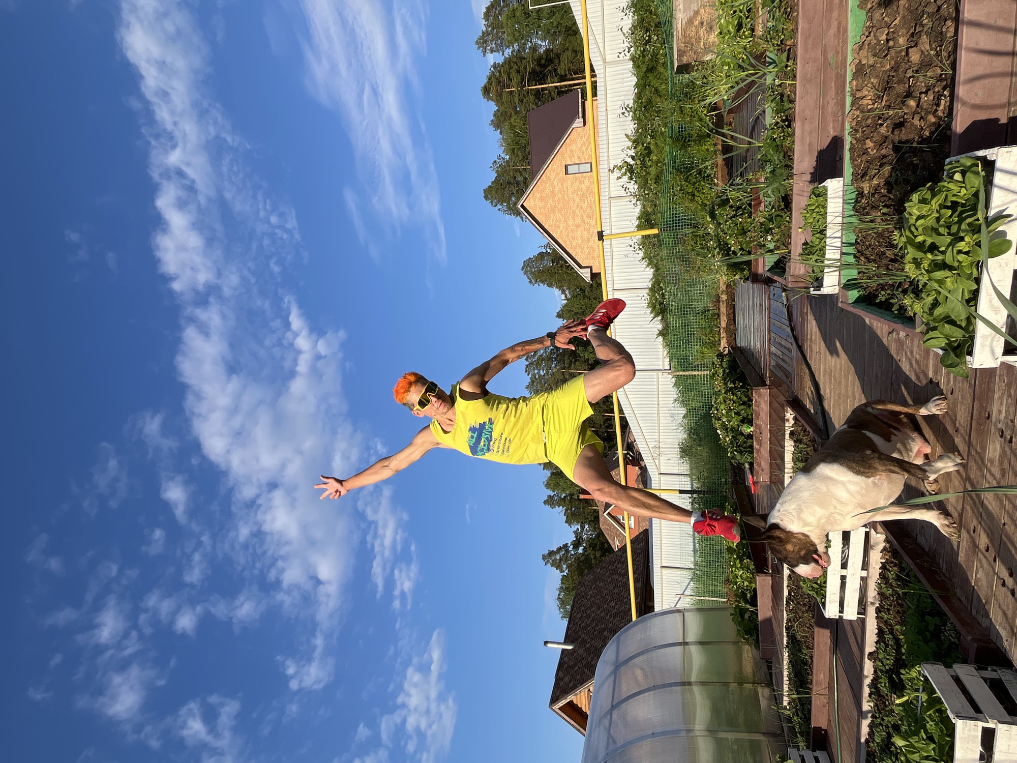 In Chaikovsky, Russia, a man with bright orange hair and sunglasses is captured mid-air, jumping joyfully in a backyard garden. He wears a yellow tank top and shorts, with red shoes. His left arm is raised, with two fingers extended in a peace sign. A bull terrier dog sits on a wooden deck in the foreground, facing left. The garden features raised beds filled with plants and soil, a greenhouse structure to the left, and residential buildings and trees in the background under a bright blue sky with scattered white clouds.