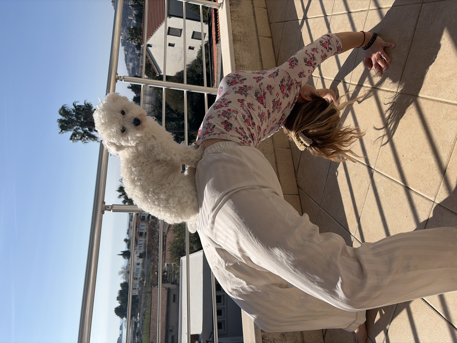 An outdoor scene captured on a sunny day depicts a person performing a backbend yoga pose on a light-colored tiled balcony. A small, white, fluffy dog, appearing to be a Bichon Frise, stands on the person's lower back, looking forward. The person wears light-colored, vertically striped loose pants and a long-sleeved floral shirt with pink blossoms on a white background. Their light brown hair is secured with a white pearl-embellished claw clip. A dark bracelet is visible on the person's left wrist.
The balcony features a modern metal railing with horizontal bars. Beyond the railing, under a clear blue sky, a coastal urban landscape is visible. Buildings with red-tiled roofs and light-colored facades are nestled among green trees and sparse vegetation. In the far distance to the left, the calm blue water of the Adriatic Sea is discernible, confirming the location as the city of Budva, Montenegro. Shadows from the railing are cast diagonally across the tiled balcony floor.