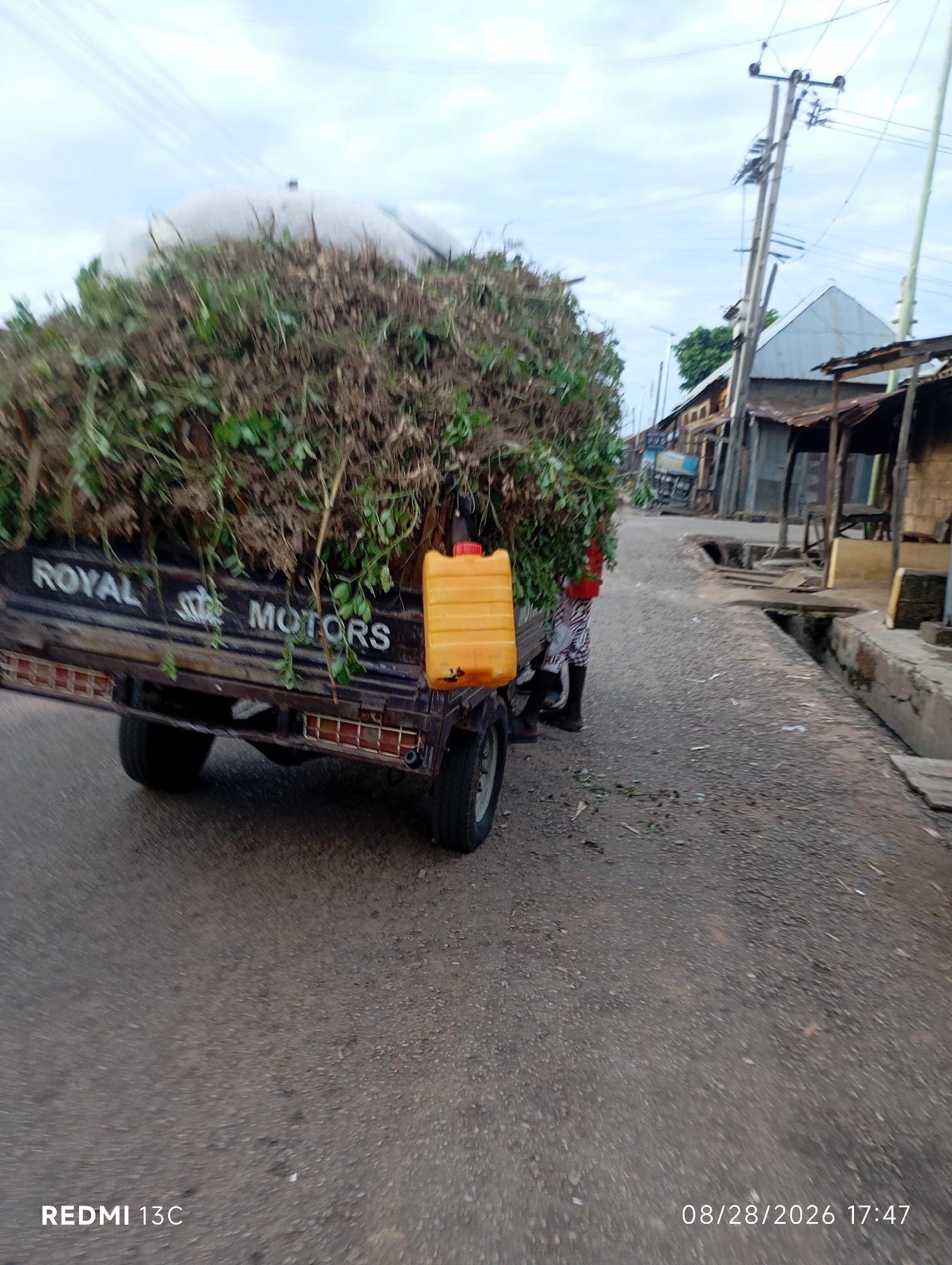 In Shendam, Nigeria, a three-wheeled vehicle is loaded with a large amount of vegetation, likely branches and leaves, covered by a white tarp. The vehicle has "ROYAL MOTORS" written on its side and a yellow jerrycan with a red cap is attached to its rear. A person wearing a red top and patterned trousers stands behind the vegetation, partially visible. The vehicle is on an asphalt road in what appears to be a residential or commercial area, with buildings and a drainage channel visible along the side of the road. Utility poles with electrical wires are also present. The sky is overcast. The bottom left corner of the image displays "REDMI 13C" and the bottom right shows the date "08/28/2026 17:47".