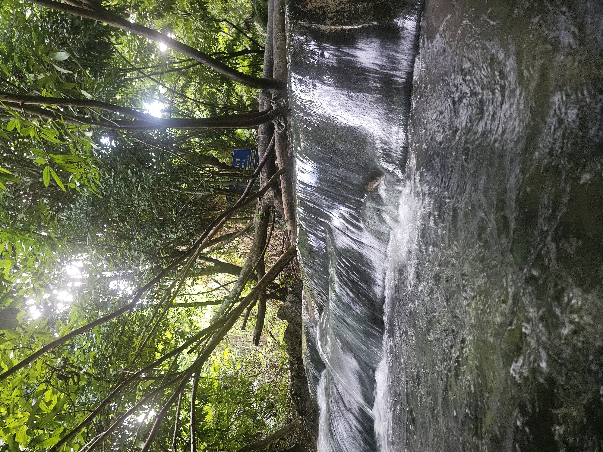 The image depicts a close-up view of a waterfall cascading over rocks, surrounded by lush green foliage and trees. The sunbeams pierce through the dense canopy, creating dappled light effects on the water and vegetation. Several branches from the surrounding trees reach across the frame, some hanging low over the water. A blue sign is partially visible among the trees on the left side of the image. The water appears clear and is flowing rapidly, creating a sense of movement and tranquility. The scene is set in a natural, tropical environment, likely a forest or jungle, given the abundant greenery and the presence of a waterfall. The time of day appears to be daytime, with bright sunlight indicating a clear or partly cloudy sky. The overall mood is serene and refreshing, capturing the beauty of nature.