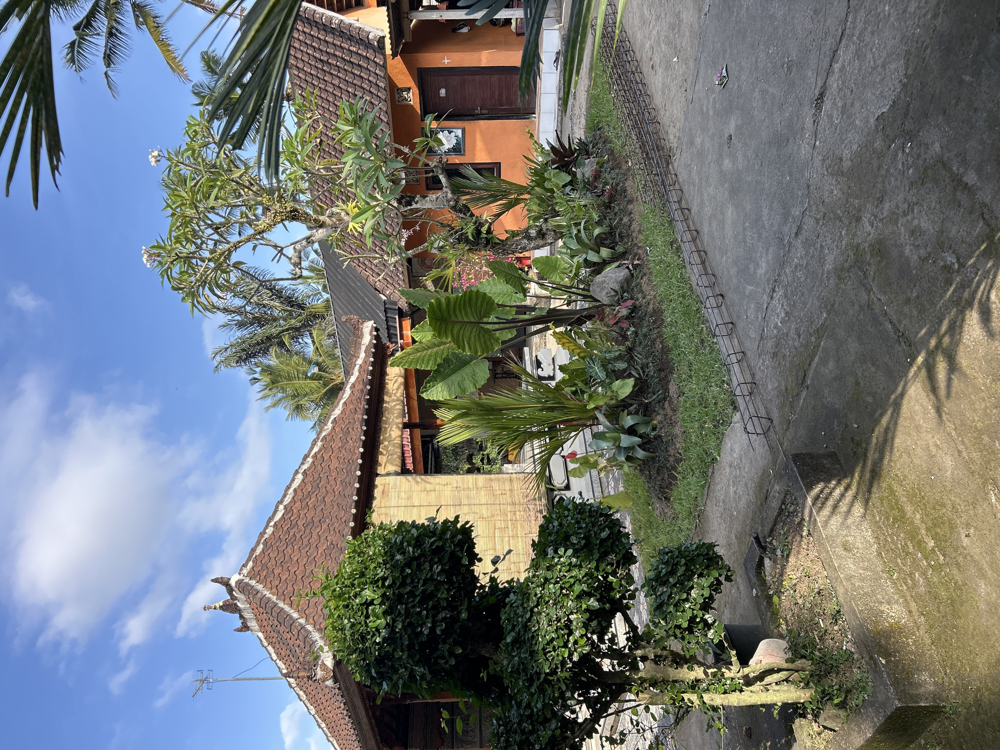 The image shows a sunny outdoor scene in Abiansemal, Indonesia, with traditional Balinese architecture. In the foreground, a stone planter with a meticulously shaped green tree is visible, with shadows cast on the concrete ground. Beyond this, a garden bed is filled with lush tropical plants, including large-leafed plants and flowering bushes. To the left, a building with a tiled roof and bamboo siding is partially visible. To the right, another building with an orange facade features a wooden door and a framed picture on the wall. Palm trees and other foliage are interspersed throughout the scene, and a bright blue sky with scattered clouds completes the backdrop. A metal rebar structure lies on the ground in the mid-ground, suggesting ongoing construction or landscaping. The overall impression is one of a tranquil tropical environment with a blend of natural beauty and architectural elements.