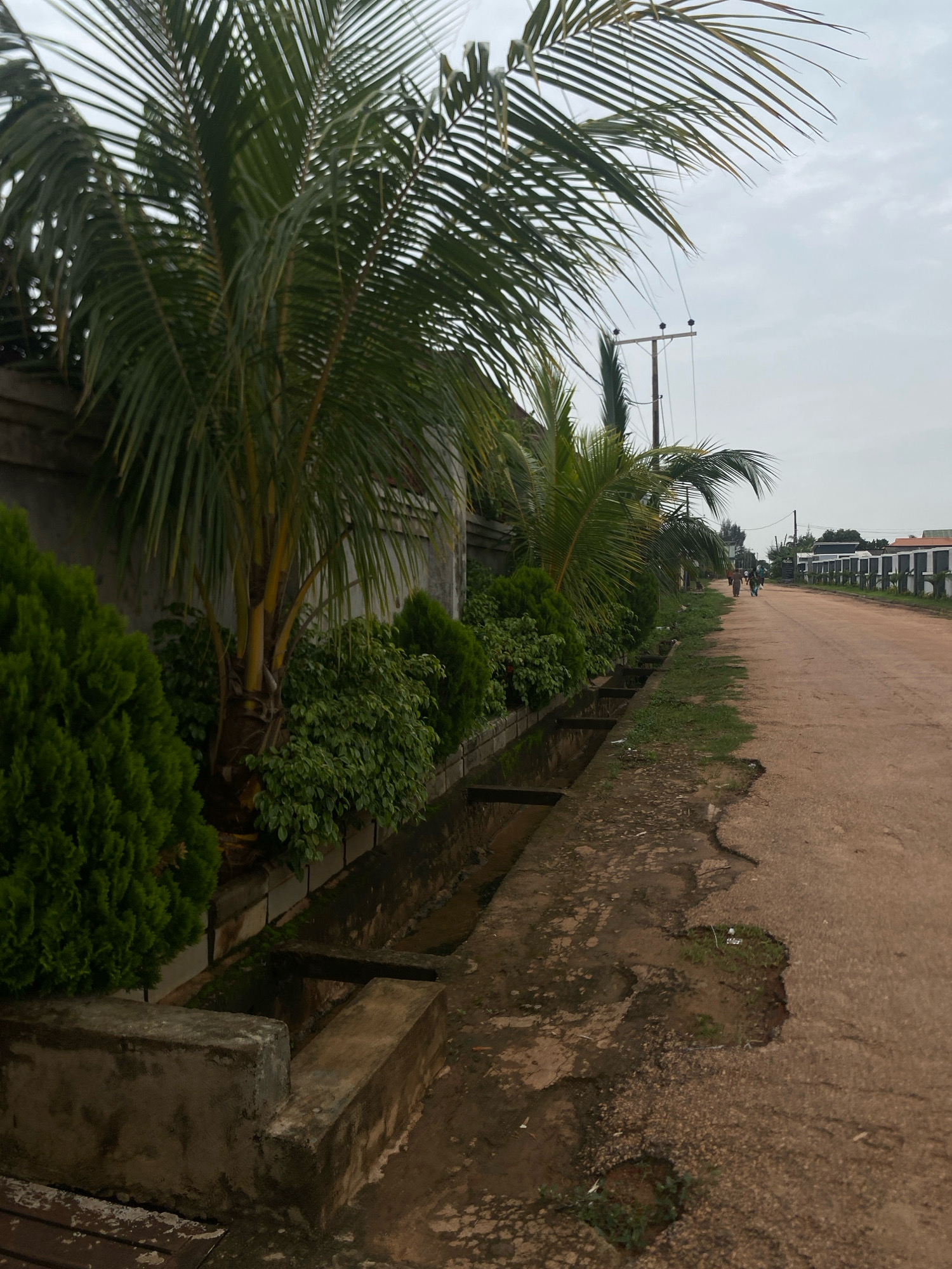 The image shows a dirt road in Barden Yana, Nigeria. The road is lined with palm trees and other greenery. In the distance, a group of people can be seen walking along the road. The sky is overcast and the overall mood of the image is somber.