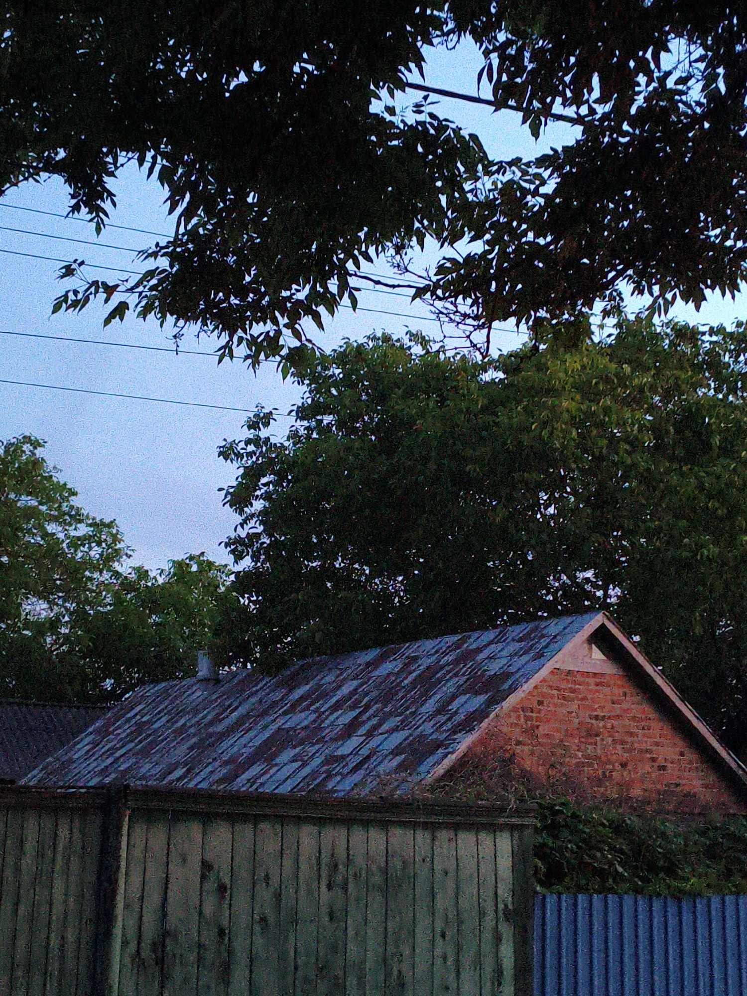This image captures a serene, static scene in Ustyvytsia, Ukraine, likely during twilight or early morning hours. The sky above is a clear, soft blue-grey, traversed by multiple thin utility wires, which are partially obscured by dense foliage.
The upper portion of the frame is dominated by the dark, silhouetted branches and leaves of large trees, creating a natural canopy against the fading light. Below these trees, a building with a prominent gable roof is visible. The roof is made of weathered, corrugated metal, exhibiting a mix of blue, grey, and rust-brown tones. A small chimney or vent pipe protrudes from the roofline. The gable end of the building is constructed from reddish-orange bricks, with some dark, overgrown vegetation clinging to its base and side.
In the foreground, a sturdy wooden fence, composed of vertical greenish-grey planks, spans the left and central parts of the lower frame. To its right, a section of a dark blue corrugated metal fence is also visible. Lush green foliage and vines are seen growing behind the wooden fence and around the brick wall.
The scene conveys a quiet, perhaps slightly melancholic atmosphere due to the subdued lighting and lack of activity. No people or visible text are present in the image.