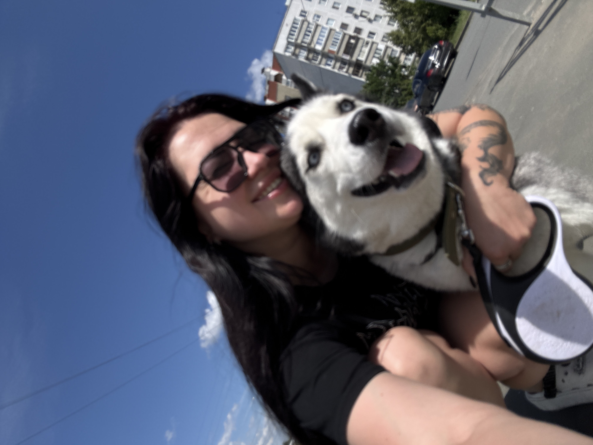 A young woman with long, dark hair and sunglasses is crouching down, holding a husky dog. The dog has striking blue eyes and appears to be panting happily, with its tongue sticking out. The woman is wearing a black t-shirt and has tattoos on her arm. She is holding a retractable dog leash in her right hand. In the background, there is a multi-story building with many windows, green trees, a paved road, and a dark-colored car driving away. The sky is clear blue with a few white clouds. The scene appears to be an outdoor urban environment on a sunny day.