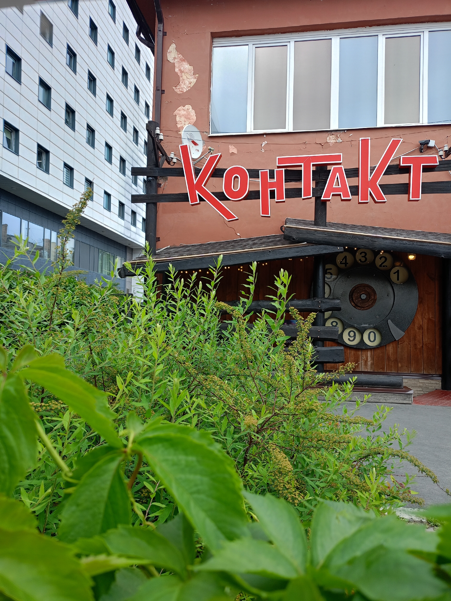 An outdoor, eye-level, medium shot shows a building with a large sign and a dial from a rotary phone as decor. The sign is red with white trim and reads "КОНТАКТ" in large capital letters. Below the sign, a large, dark grey, circular dial from a rotary phone is mounted on a wooden wall. The dial has white numbers in a circular pattern, with a large black circle in the center. The wall behind the dial is made of dark brown wood. The building has a dark brown roof with exposed wooden beams. In the foreground, lush green bushes and vines are in sharp focus, obscuring the lower portion of the building and the ground. To the left of the building, a modern, multi-story building with a white facade and numerous windows is visible, indicating an urban setting. The sky is overcast, suggesting a cloudy day. There are no people visible in the frame.