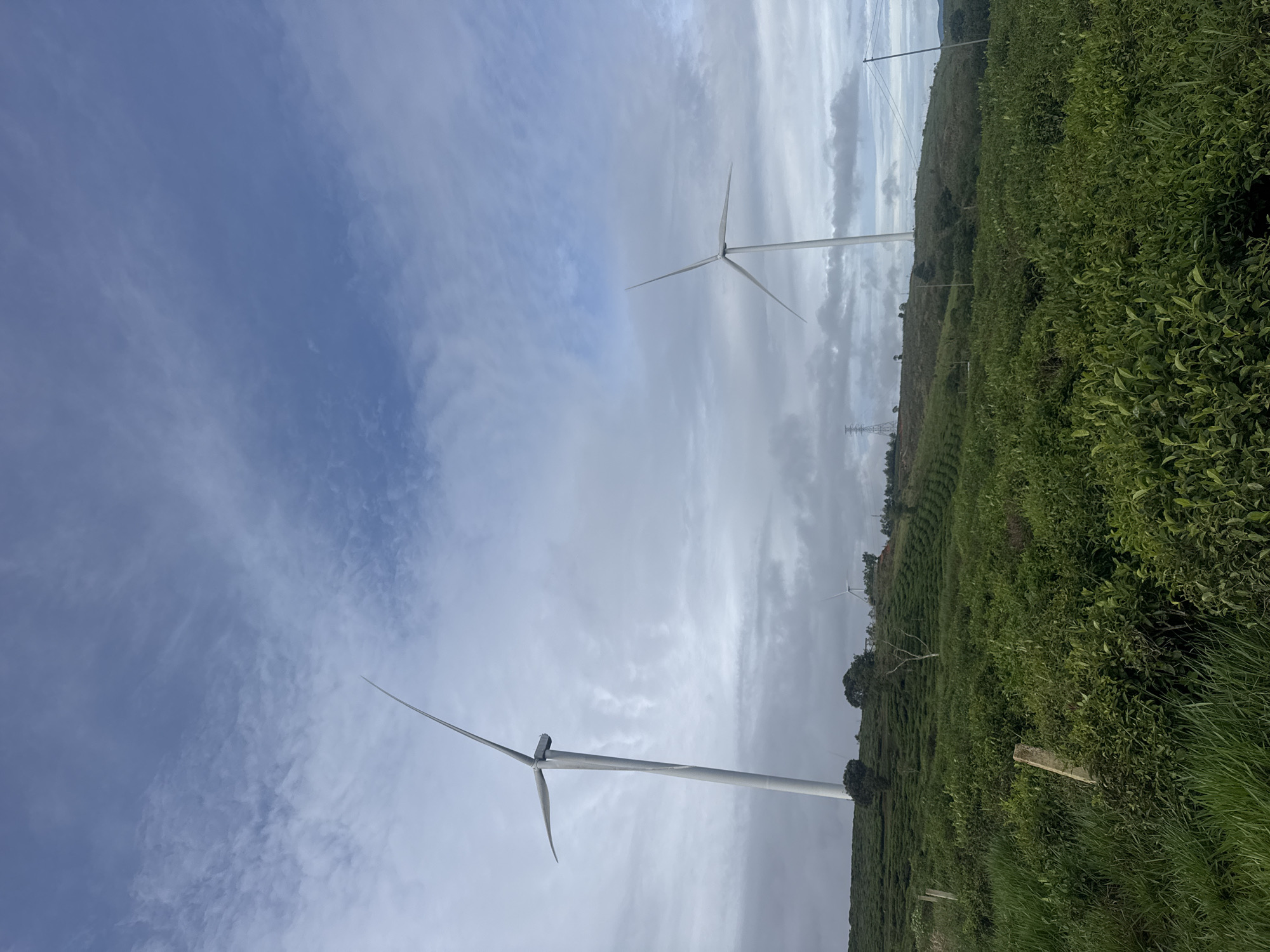 The image shows a landscape of wind turbines in the city of Phát Chi, Vietnam. Two prominent wind turbines are visible against a partly cloudy sky. The turbines are situated on a hillside covered in lush, green vegetation, resembling a tea plantation. High-voltage power lines and structures are also present on the hillside.