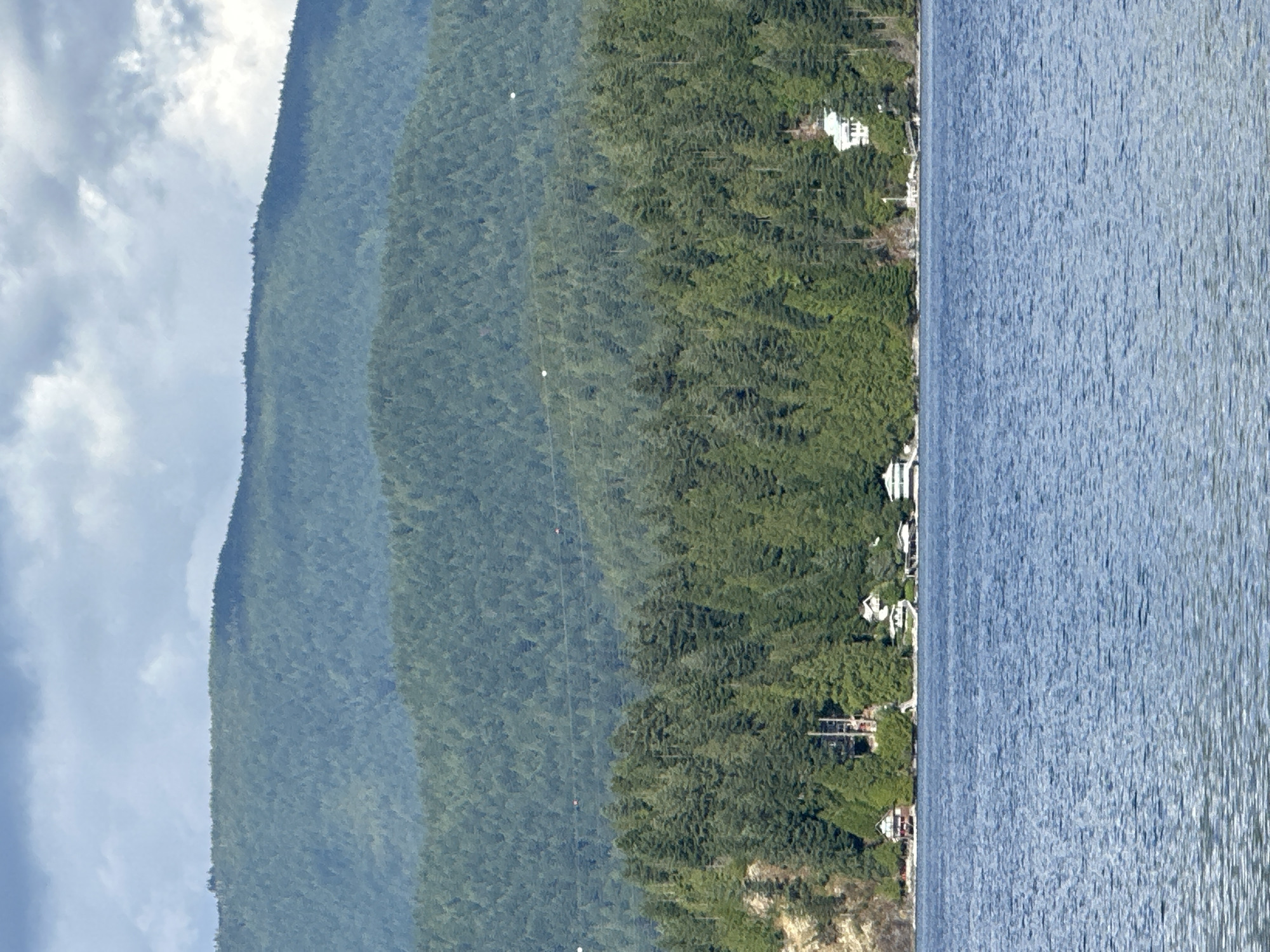 The image captures a serene lakefront scene with lush green mountains in the background. The foreground is dominated by the calm, blue waters of the lake, reflecting the overcast sky. Along the shoreline, a dense forest of evergreen trees meets the water. Nestled amongst the trees are several houses, some with white roofs and others with red. The houses appear to be waterfront properties, with a few docks extending into the lake. In the distance, layered mountain ranges covered in trees create a sense of depth. Power lines with insulators are visible stretching across the forested slopes. The scene evokes a sense of tranquility and natural beauty, likely in a rural or semi-rural area. The location is likely in the District of North Vancouver, Canada, given the characteristic evergreen forests and mountainous terrain surrounding bodies of water in that region.