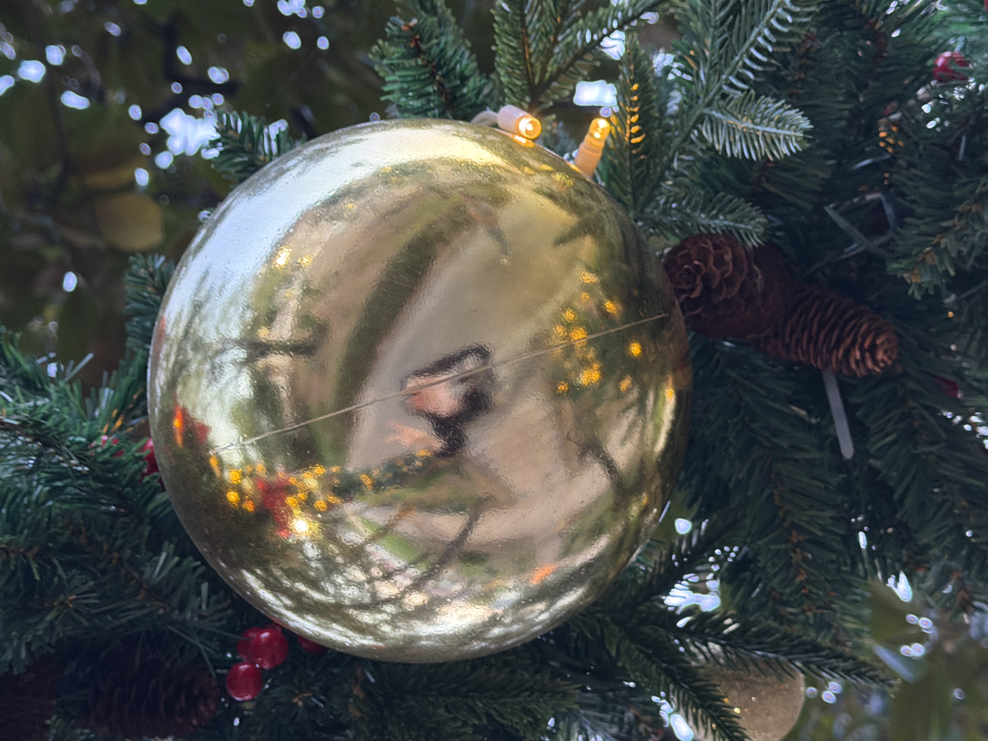The image shows a gold-colored spherical ornament hanging on a Christmas tree. The tree has green needles and is decorated with other ornaments, including pine cones, small red berries, and lights. The ornament reflects the surrounding environment, which includes other decorations and possibly trees. The location of the image is stated to be Trebesin, Montenegro, but this is not discernible from the visual content alone.