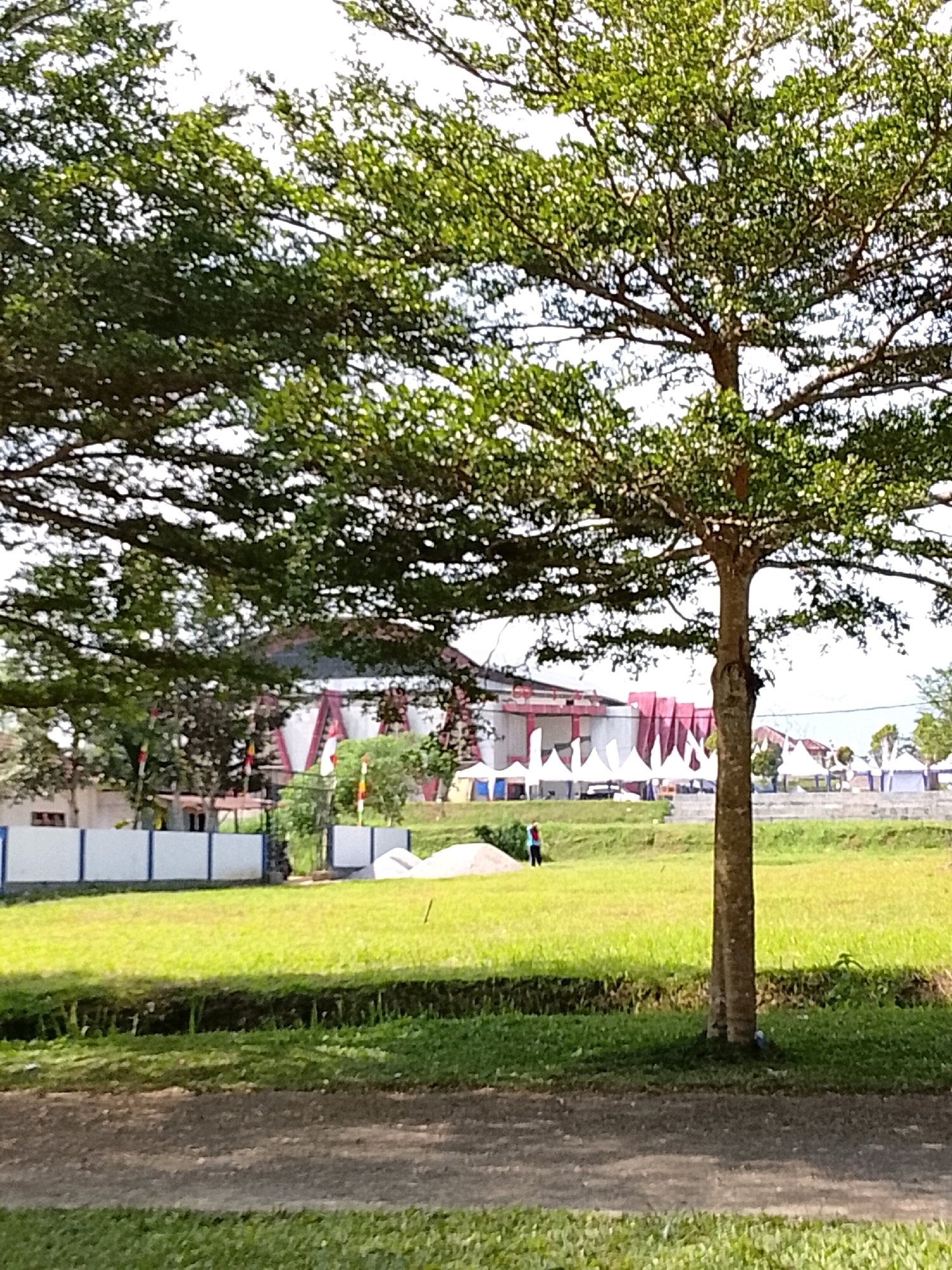 The image depicts an outdoor scene, likely in Padang Dalom, Indonesia, featuring a large tree with dense green foliage prominently in the foreground. Behind the tree, a grassy field stretches towards a row of white tents, suggestive of an event or market. A low, white wall with blue trim borders the field in the middle ground. In the distance, a building with red and white accents can be seen, partially obscured by the trees and tents. A person in blue and red attire is visible walking on the grass to the left of the tents. The sky is overcast and bright. The ground in the immediate foreground is a dirt path.