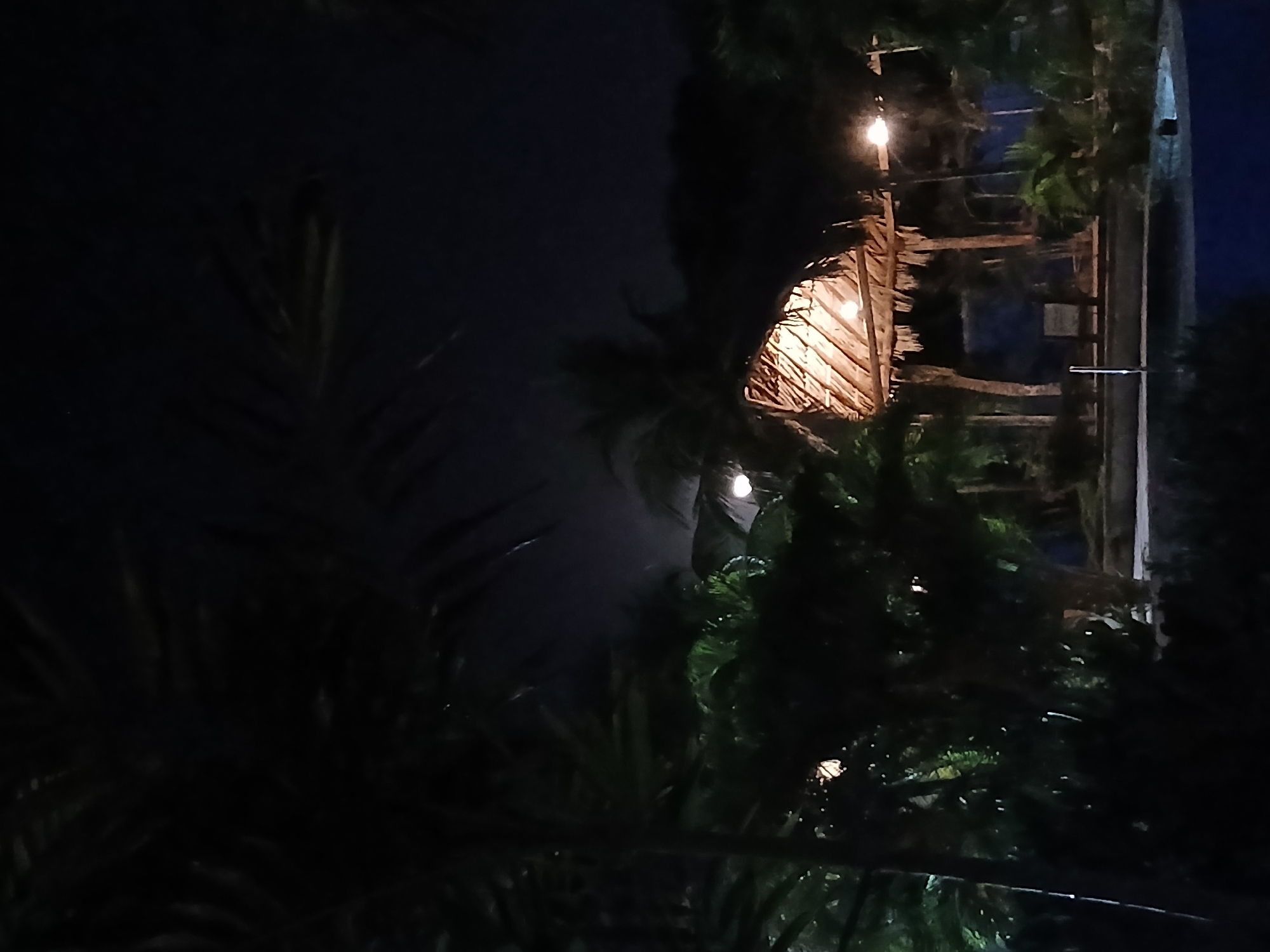 The image shows a structure with a thatched roof illuminated by internal lights, likely a building or hut, set within a tropical environment. The location is presumed to be Playa El Agua, Venezuela. The foreground is dominated by dark foliage, likely palm trees. The overall scene has limited lighting, suggesting nighttime. The structure appears to be constructed of natural materials.