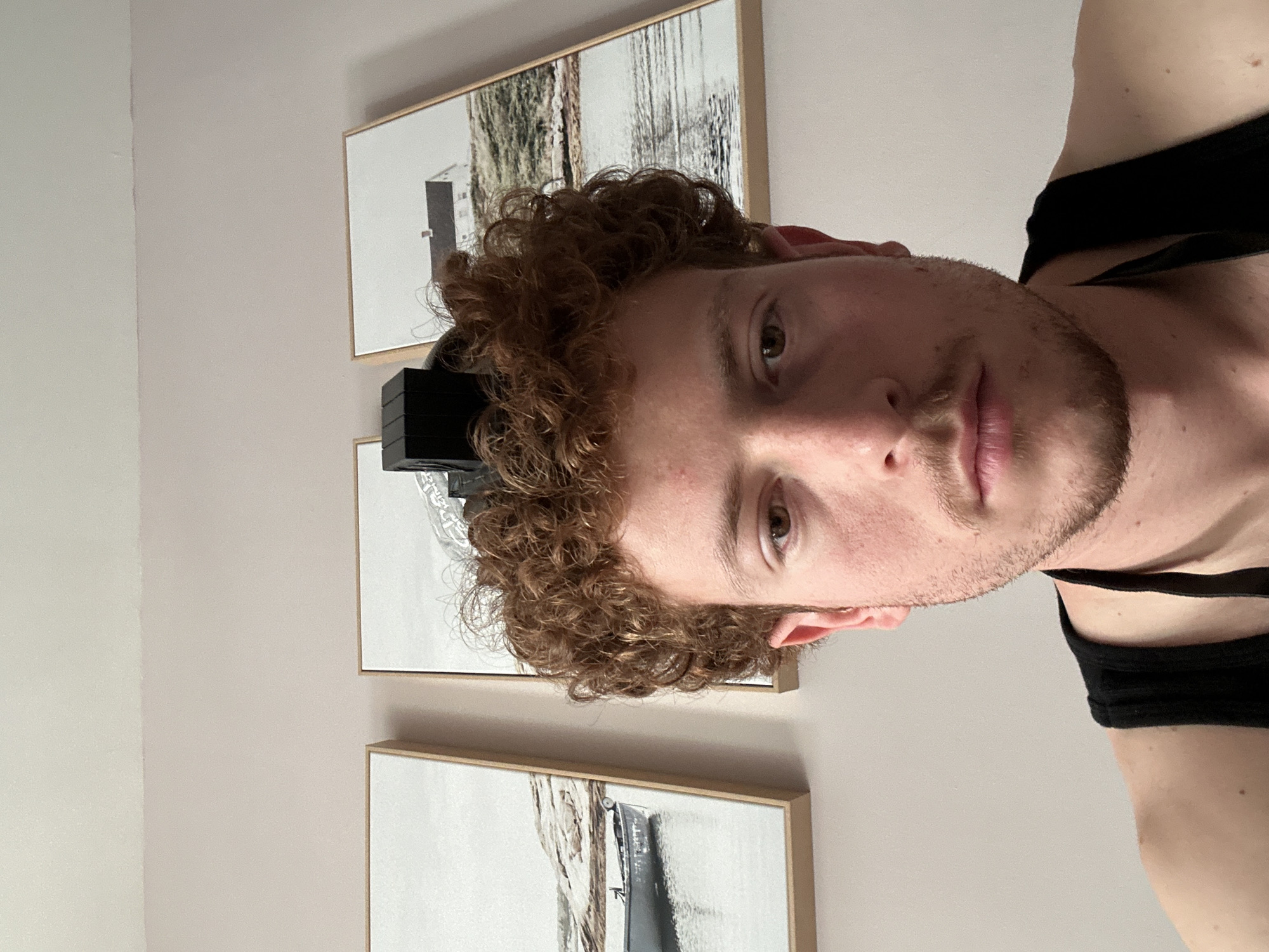 A close-up portrait features a young man with light brown, curly hair and faint stubble on his face. The image is oriented sideways, with his head tilted to the right. He has light brown eyes and a neutral, direct gaze towards the camera. He is wearing a black tank top, with the strap visible over his right shoulder.
The background consists of a light-colored wall, possibly beige or light gray, against which three framed art pieces are mounted vertically. The art appears to be abstract or minimalist landscape prints, possibly featuring muted tones of white, gray, and brown, depicting structures or natural elements like trees. The frames are light-colored wood. Partially visible behind the man's head is a stack of black, rectangular objects, which could be weights or other equipment. The setting is indoors, with even lighting, and no specific time of day is discernible. There is no visible text in the image. While the location context is provided as New York, United States of America, this specific detail is not visually evident from the image itself.