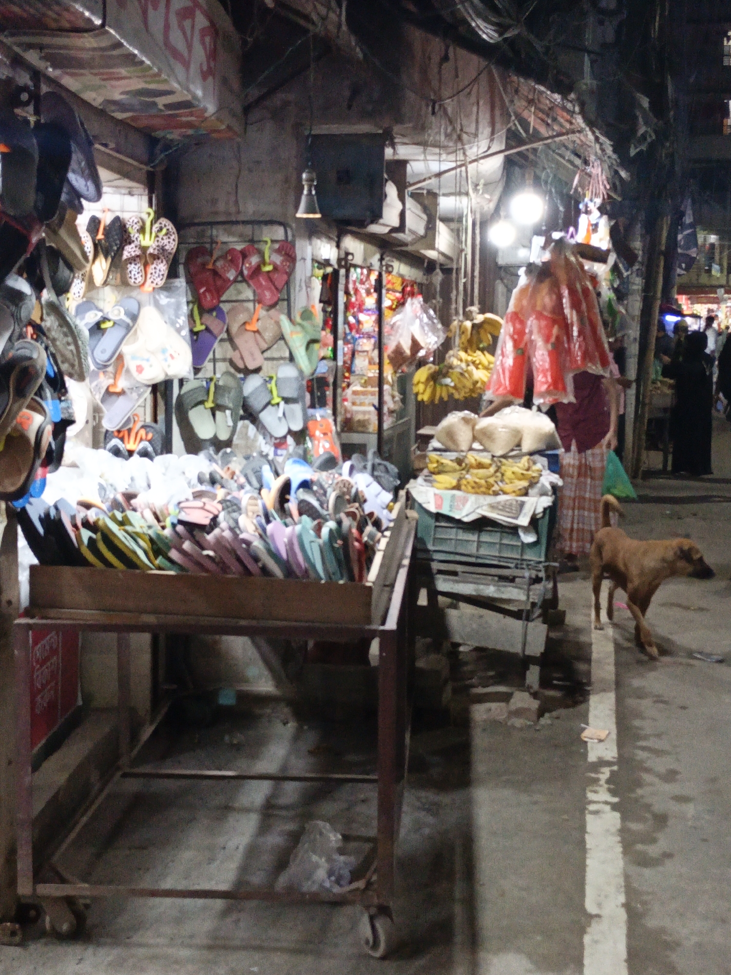 The image depicts a lively night market scene in Dhaka, Bangladesh, bustling with commercial activity under artificial lighting. In the foreground, a wooden cart with wheels serves as a display for a vast collection of colorful flip-flops and sandals, which are piled high and arranged for sale. Above this cart and to the left, numerous pairs of footwear, including patterned and heart-shaped designs, hang from various racks and hooks.
In the mid-ground, a vendor, identifiable by their plaid sarong-like garment and a distinctive red plastic covering over their upper body, stands behind a makeshift stall. This stall is laden with produce, most notably bundles of ripe yellow bananas stacked on green plastic crates, alongside several white sacks that likely contain staples such as flour or rice. Multiple bright, unshielded light bulbs illuminate this section of the market, casting strong shadows.
To the right of the vendor, a medium-sized, reddish-brown dog walks along a concrete path that features a faded white painted line. The background shows other market stalls and blurred figures of people, hinting at a wider market environment. Overhead, a chaotic network of electrical wires and makeshift coverings contributes to the characteristic ambiance of a bustling street market.
The prevalence of artificial lights clearly indicates an evening or nighttime setting. Visible text in Bengali script appears on an overhead structural beam and also on a red object located in the lower-left corner of the image, although the specific words are not fully decipherable. The scene captures the functional and vibrant essence of an urban market.