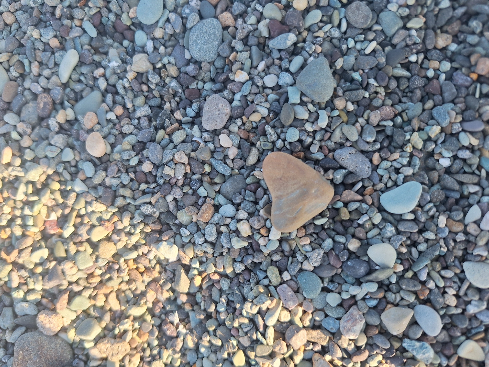 The image is an overhead shot of a pile of small, smooth stones. The stones are of various colors, including grey, brown, white, and some with pinkish hues. The lighting suggests it is either early morning or late afternoon, casting long shadows across the stones. In the center of the frame, a single stone stands out due to its distinct heart shape. This heart-shaped stone is a light brown and tan color with some reddish-brown veining. The background is entirely composed of the same mixture of small stones. There are no people or other objects visible in the frame. The scene appears to be a natural setting, possibly a riverbed or beach, and is not specifically identified as being in Shogakat, Armenia.