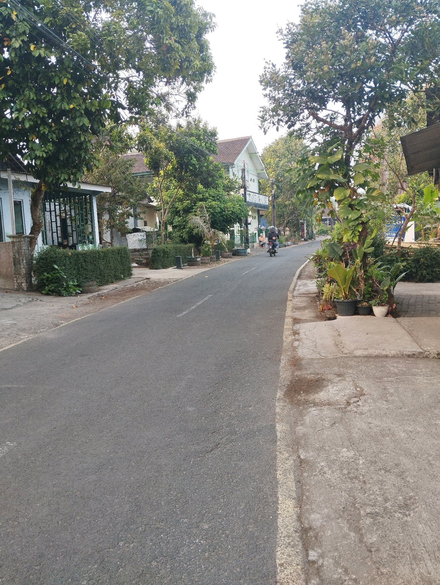 The image depicts a street scene in Salatiga, Indonesia. The paved road curves to the left, flanked by sidewalks and houses with pitched roofs, some featuring white exteriors and decorative railings. Lush green trees and manicured hedges line the street, with potted plants visible on the sidewalks. The sky is bright and overcast. A single motorcycle with a rider is visible on the road, traveling away from the viewer. Several houses with visible windows and porches are present along the street. The environment appears to be a residential area with well-maintained vegetation.