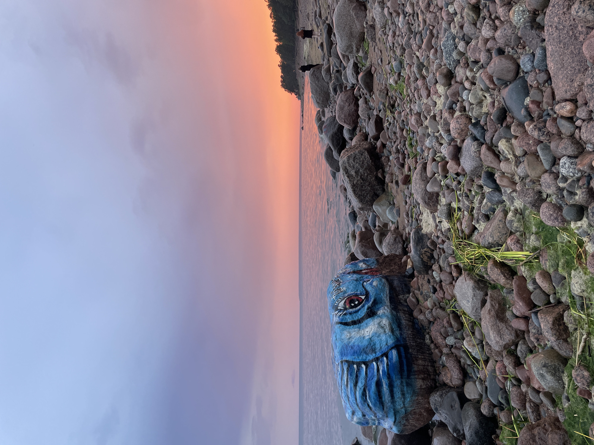 The image depicts a rocky shoreline at dusk in Luzhki, Russia. In the foreground, a large, dark-colored rock is painted to resemble a blue creature with a red eye. The shoreline is covered in numerous stones of varying sizes and colors, with some patches of green algae and dried grass. The sea is calm, reflecting the colors of the sunset, which casts a vibrant orange and pink glow across the sky. In the background, a tree line runs along the horizon, and two figures can be seen standing on the beach, observing the sunset. The overall atmosphere is serene and picturesque.