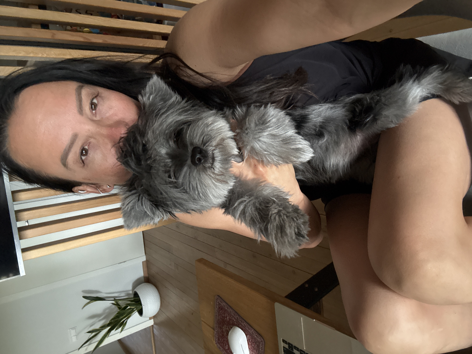 A selfie shows a woman holding a gray schnauzer dog. The woman has dark hair and light skin. She is wearing a black top. The dog is held up in front of her face. The background includes a wooden floor, a wooden desk with a laptop and mouse, a potted plant, and a wooden bed frame. The image was taken indoors, possibly in a private residence, but the exact location in the city of Chaikovsky, Russia, cannot be determined from this image.