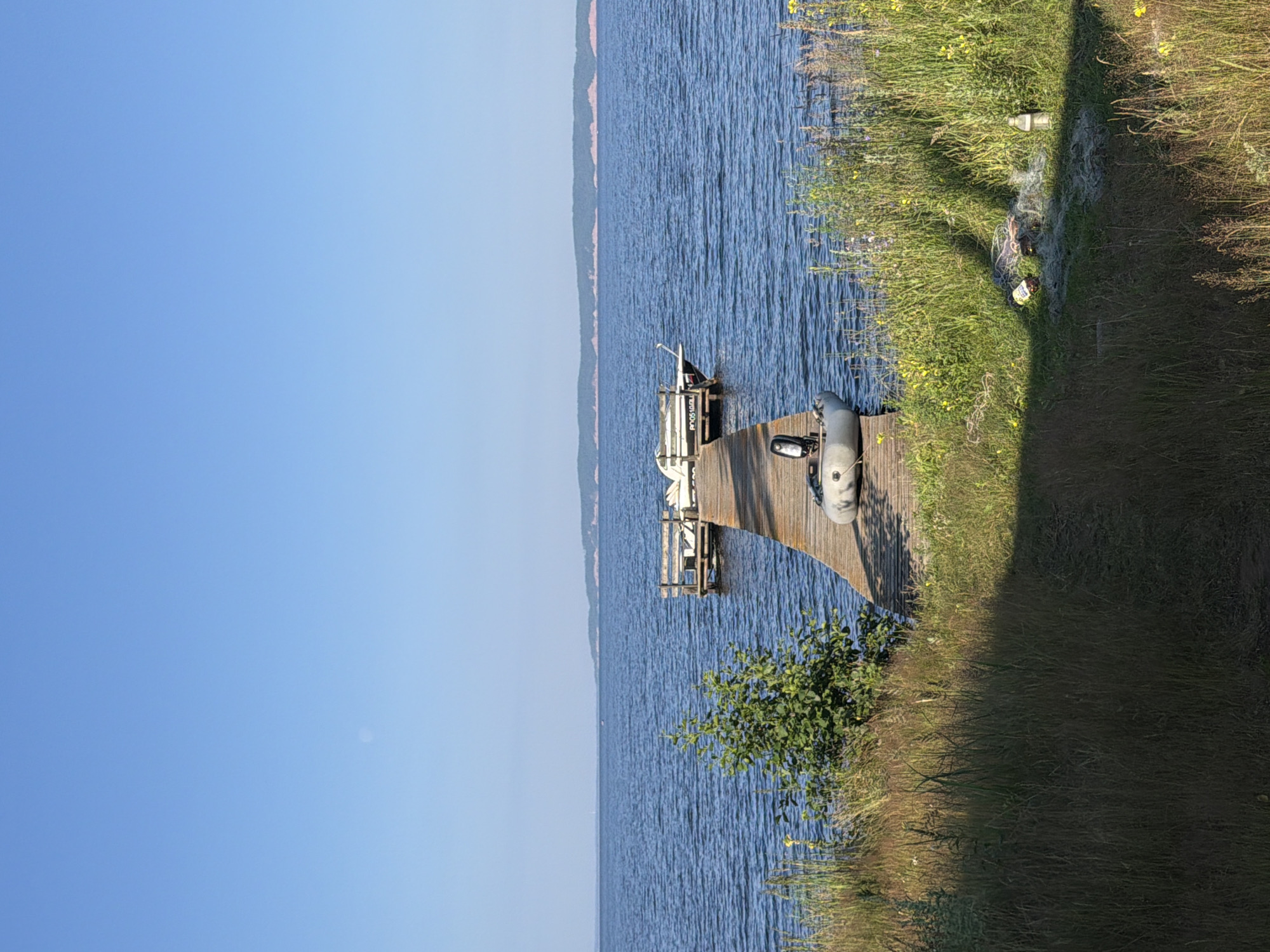 A serene, sunny day unfolds over a body of water. A wooden dock extends into the calm, blue water, leading to a small platform at its end. Two white boats are moored to the platform. In the foreground, tall green grass and reeds line the shore. A small, green bush grows near the water's edge. On the dock, a gray inflatable boat with a black outboard motor is resting. The distant horizon shows a faint, tree-covered landmass under a clear blue sky. The overall impression is one of peaceful natural beauty.