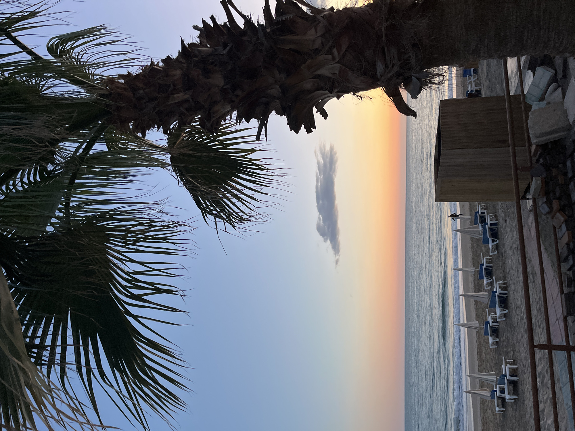 The image depicts a beach scene at sunset, likely in Alanya, Turkey, given the vegetation and beach furniture. The camera is positioned low, looking upwards through palm trees towards the horizon. The sunset colors the sky with bands of orange, yellow, and pale blue. A small, elongated cloud hangs in the sky near the horizon.
The foreground features the silhouette of palm fronds on the left side of the image and the trunk and dead fronds of a palm tree near the top center. The right side of the image shows a partially obscured beachfront area with rows of beach chairs and umbrellas. The ocean is visible as well as a building.