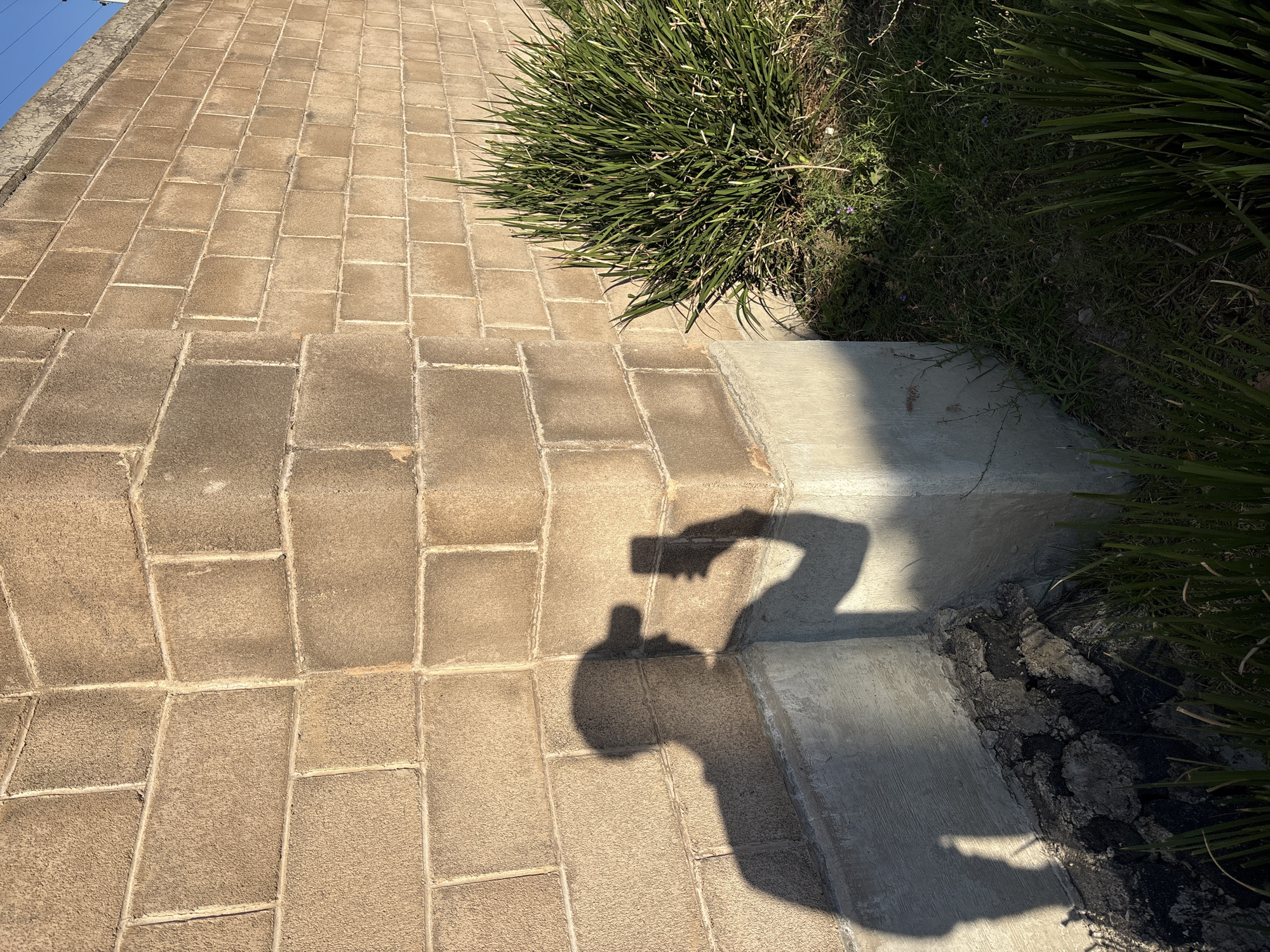 An outdoor, high-angle shot captures a paved pathway, concrete steps, and lush green foliage under bright sunlight in San Bernardino Tlaxcalancingo, Mexico. The pathway is constructed from light brown, rectangular concrete pavers arranged in an alternating pattern, showing visible grout lines and some wear. To the right, a concrete curb or steps separates the pathway from a patch of dense, spiky green plants, resembling ornamental grass or agave, thriving in a dark soil bed. Beyond these plants, the ground is covered in wilder, darker green grass.
A prominent feature in the lower-right quadrant is the distinct shadow of a person, cast across the pavers and the concrete steps. The shadow clearly shows an arm extended upwards, holding what appears to be a smartphone, indicating that the person is taking a photograph or selfie. The angle and length of the shadows suggest it is either morning or late afternoon, with the sun relatively low in the sky, creating stark contrasts between light and shade. The upper left corner of the original image, and confirmed by one of the crops, reveals a sliver of clear blue sky. No discernible text is visible in the image.