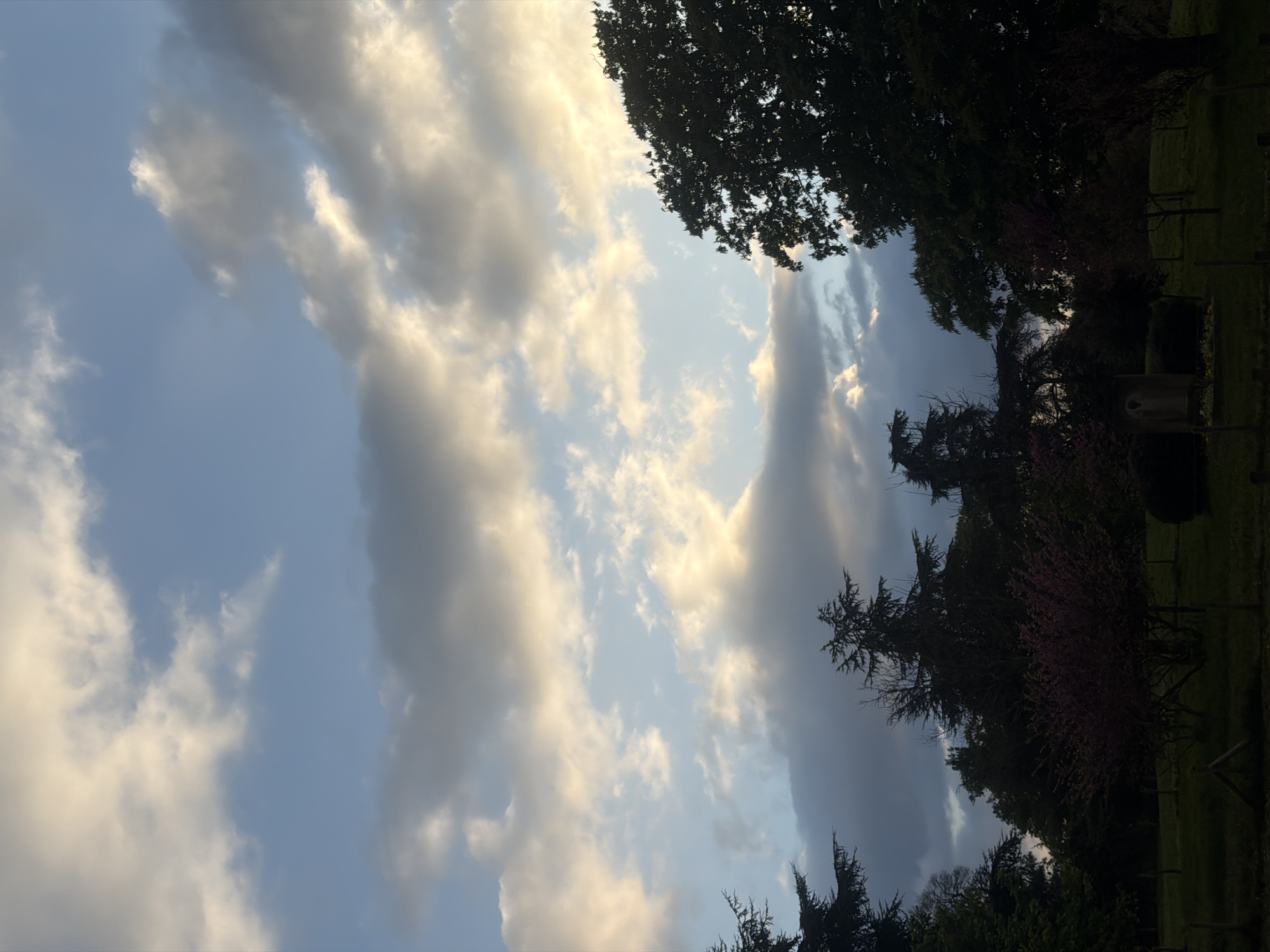 The image captures a view upwards towards a sky partially obscured by clouds, with tree foliage framing the shot on the right and upper parts of the frame. The clouds are a mix of white and grey, suggesting varying density and possibly reflecting sunlight. The sky is blue where visible. Trees appear to be located on the right. It is impossible to say if this image was taken in the city of Paris.