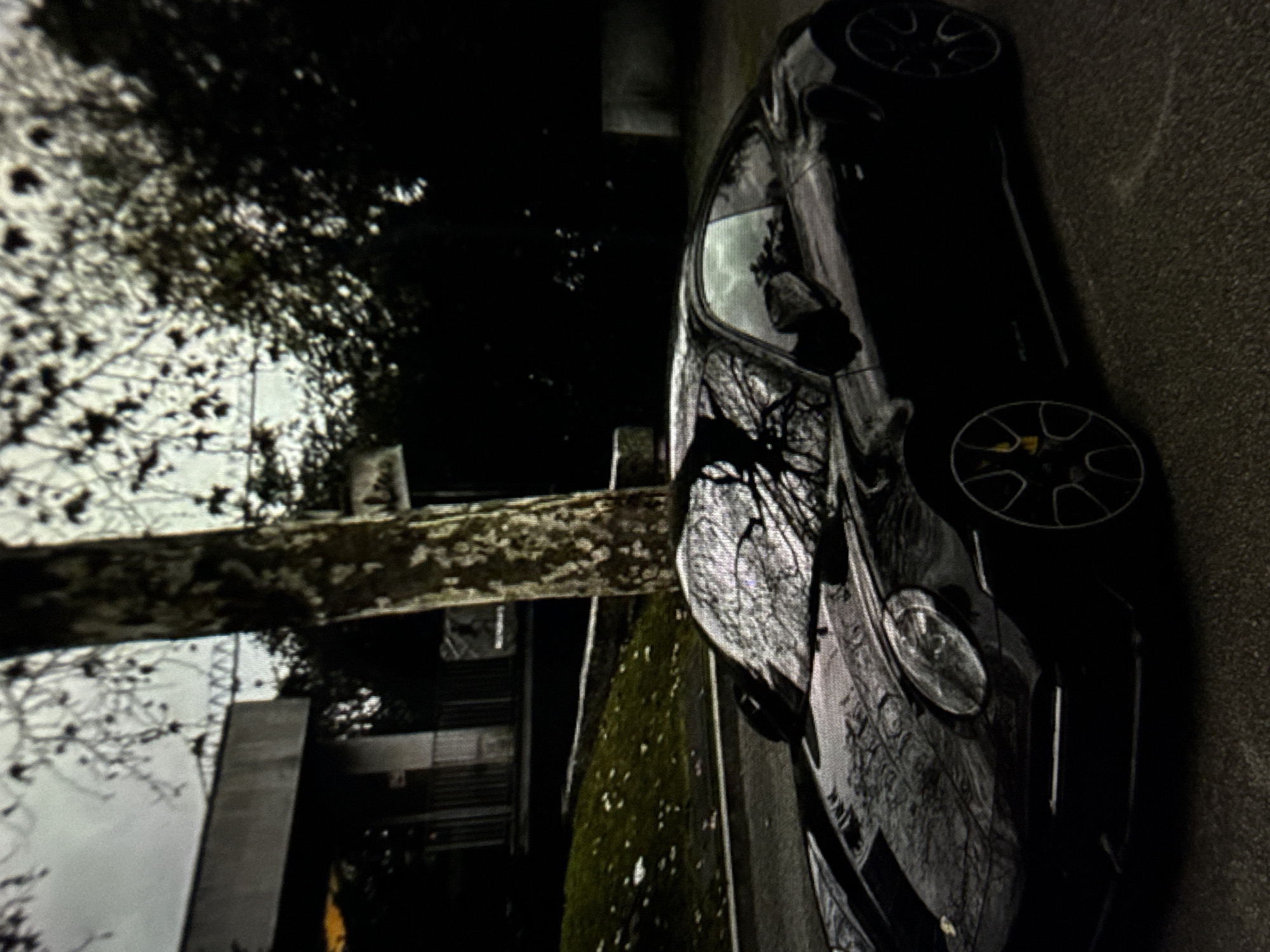 A black Porsche 911 sports car, appearing to be a 992-generation model, is parked on an asphalt surface in an urban environment in Kardzhali, Bulgaria. The vehicle is facing slightly to the right, with its front left quarter prominent. It features multi-spoke wheels with yellow brake calipers. Reflections of bare tree branches and an overcast sky are visible on the car's highly reflective body panels, hood, and windows.
To the left and behind the car, a gently sloping grassy bank with scattered light-colored debris or leaves is present. A large tree, likely a plane tree, with a textured, mottled trunk, stands centrally behind the car, its bare branches extending upwards and across the sky. In the background on the left, a multi-story building with a flat roofline and visible railings on an upper level is partially obscured by the tree and other foliage. A faint, lattice-like structural element or bridge is discernible against the overcast, grey sky in the distant background. The overall scene suggests an overcast day during the late autumn or winter season. No individuals are present in the image.