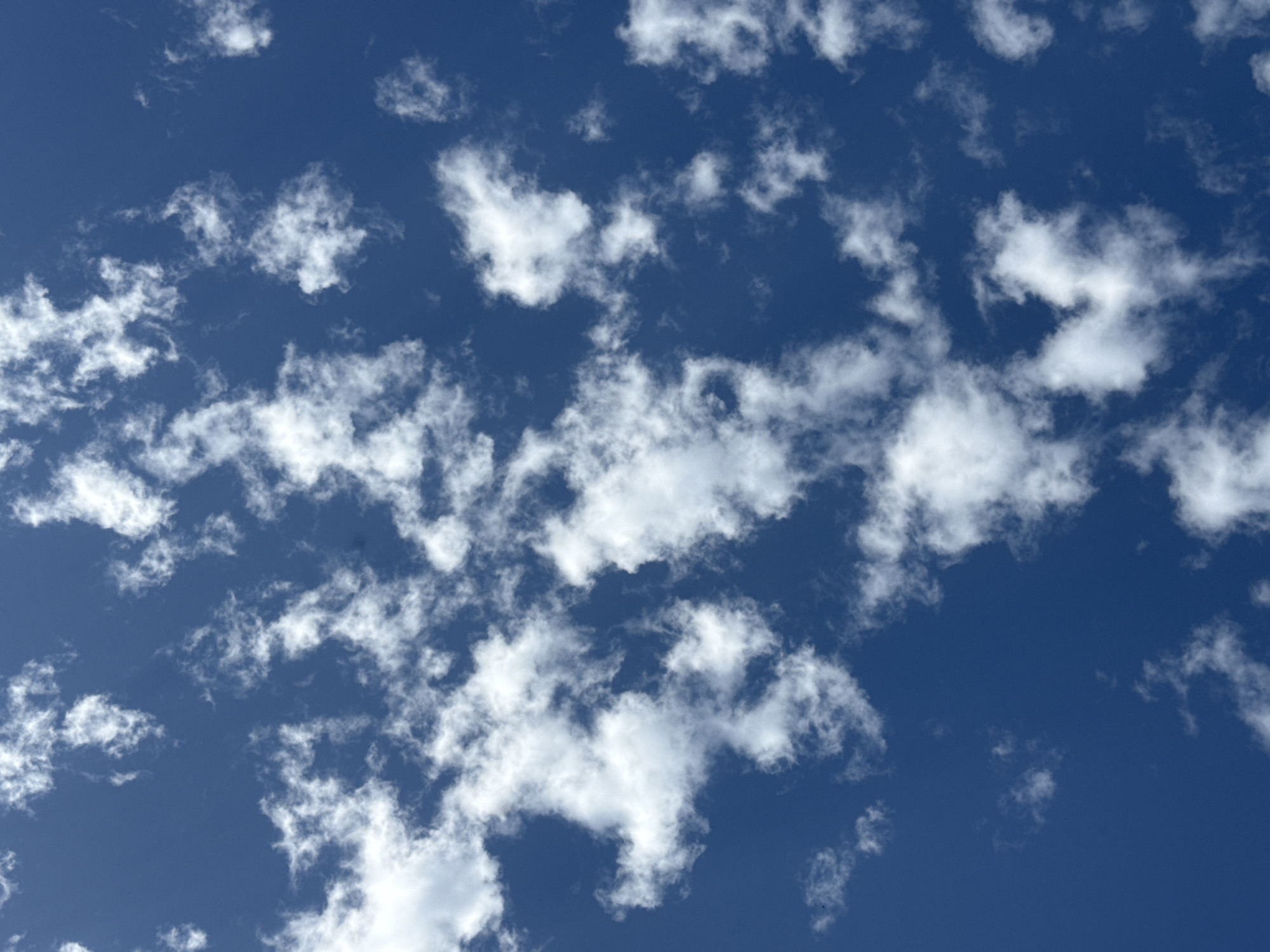 A bright blue sky is filled with scattered, wispy white clouds. The clouds are varied in size and density, with some appearing as thin streaks and others as more compact puffs. The overall impression is one of a clear and sunny day. The image does not contain any elements that would allow for the identification of a specific location within the city of Bermeo, Spain, as it solely depicts the sky and clouds.