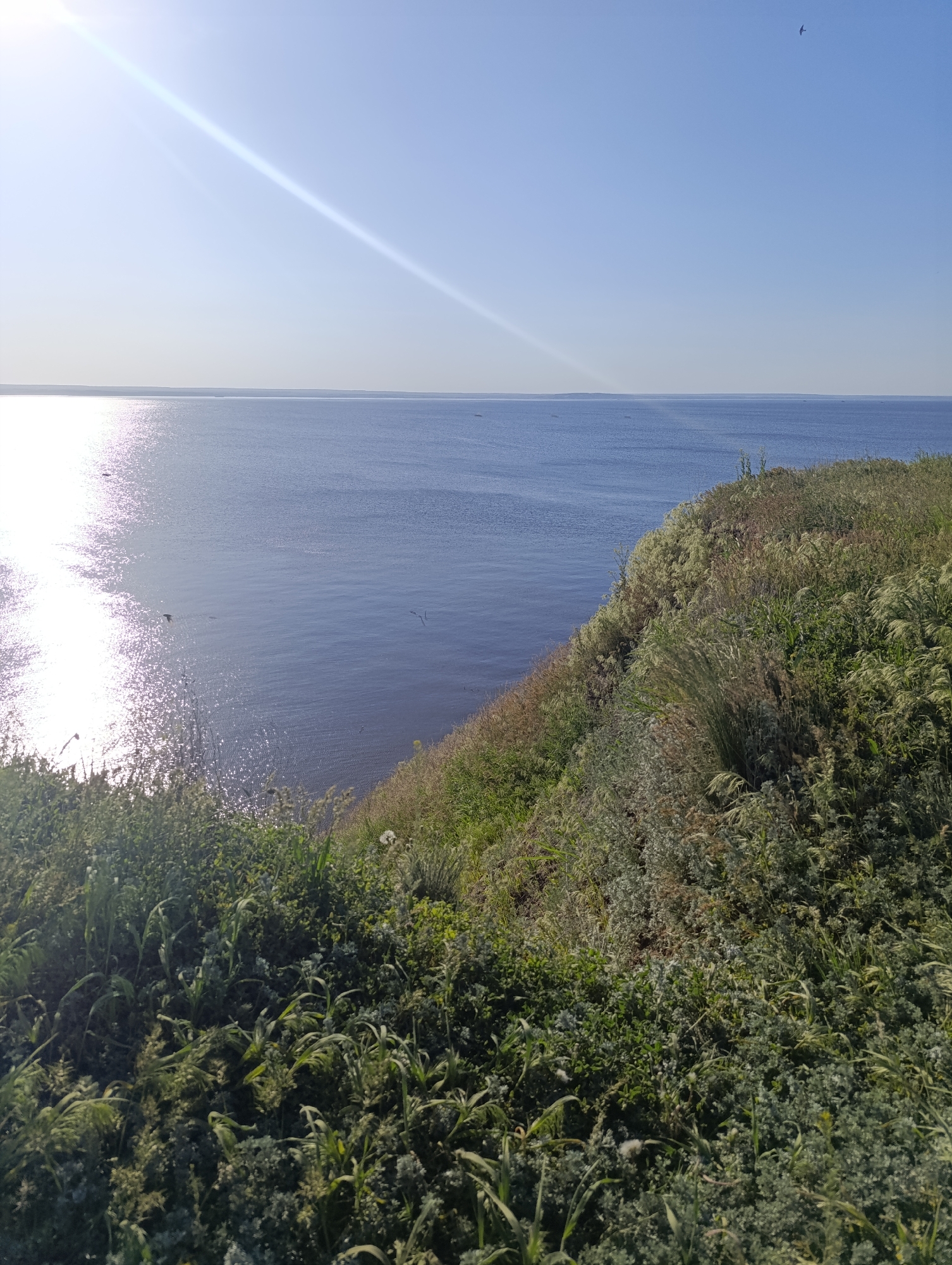 The image captures a serene, expansive landscape from an elevated vantage point, showcasing a wide body of water alongside a vegetated cliff. The upper portion of the frame is dominated by a clear, bright blue sky, almost entirely cloudless. A prominent, diagonal sunbeam or lens flare emanates from the top-left, indicating the presence of a strong sun, which casts a brilliant, shimmering reflection across the water's surface on the left.
The vast body of water, likely a wide river or large lake, appears a deep blue, with subtle ripples visible across its surface. A faint, distant shoreline can be seen on the horizon. Scattered across the water are several small, dark shapes, possibly boats or buoys. A tiny, dark bird is visible flying low over the water in the sun's glare, while another, more distinct bird soars high in the upper right section of the sky.
The foreground and right side of the image feature a sloping cliff or hillside densely covered with diverse vegetation. This includes various types of grasses, shrubs, and possibly wildflowers, presenting a mix of vibrant green, lighter green, and some brownish-tan hues.
The scene conveys a peaceful, natural environment under a clear and sunny sky, suggesting either morning or late afternoon due to the angle and intensity of the sunlight. There are no people or visible text in the image.
