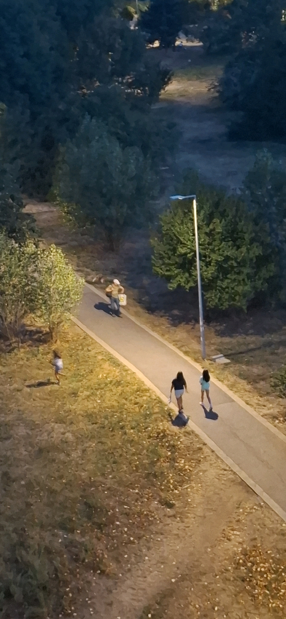 The image depicts a scene from a park in Sofia, Bulgaria, likely during the late afternoon or early evening as indicated by the lighting conditions. A paved pathway runs diagonally through the frame, bordered by grassy areas and trees.
On the pathway, from left to right:
A young child, appearing to be female, is walking on the grass to the left of the path.
Further along the path, two young females are walking together, one in a dark top and shorts, the other in a light blue top and shorts. They appear to be moving away from the viewer.
In the background, a person is walking on the pathway, carrying what appears to be a shopping bag and possibly another item. This individual is wearing a light-colored hat and jacket.
A modern lamppost is visible on the right side of the pathway, illuminated, suggesting the onset of dusk. The surrounding environment is characterized by dense green trees and foliage. The ground is covered with dry leaves and grass, particularly on the left side of the pathway. The overall impression is that of a public outdoor space experiencing a transition in light.