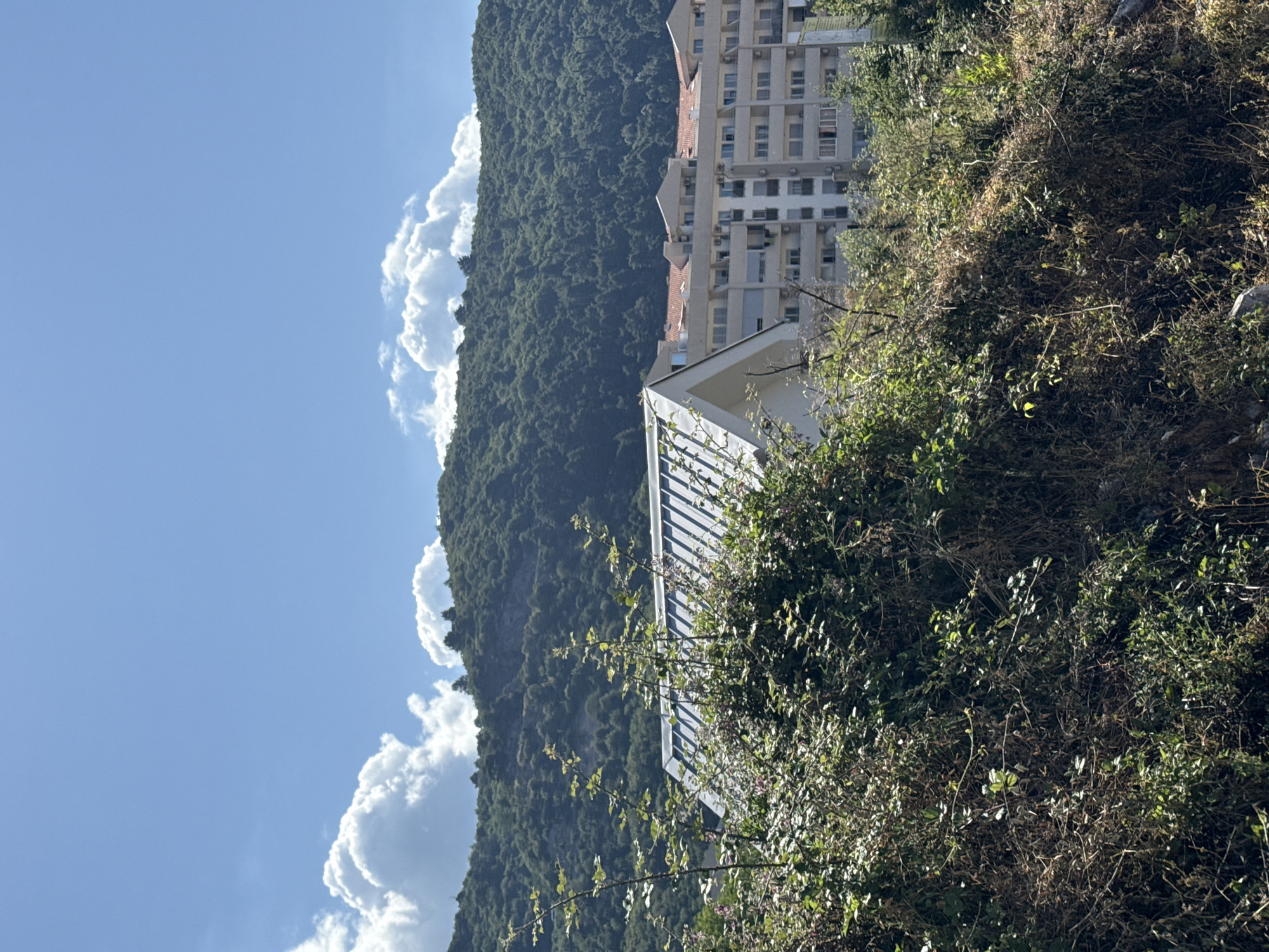 This vertical image depicts a serene daytime scene in Budva, Montenegro, showcasing a blend of natural landscape and residential architecture.
In the background, a large, tree-covered mountain dominates the left side of the frame, its green slopes rising prominently under a clear, bright blue sky. Scattered across the sky are several fluffy white cumulus clouds, adding depth to the vast expanse.
Towards the right side of the mid-ground, a multi-story apartment building is visible. It features a light-colored facade with numerous rectangular windows and balconies, suggesting a modern residential complex. Below and slightly in front of this building, the white, gabled roof of a smaller structure is partially visible, indicating another dwelling or ancillary building.
The foreground is densely packed with a variety of green and brown foliage, including bushes and tree branches. This thick vegetation partially obscures the view of the buildings and the mountain, framing the scene with natural elements. The strong, clear lighting suggests it is late morning or early afternoon, with bright sunshine illuminating the landscape and casting distinct shadows.
No people are visible, and no specific activity is taking place, presenting a tranquil, static view. There is no visible text in the image. The overall impression is one of a scenic locale where urban development is integrated with a beautiful, mountainous natural environment.