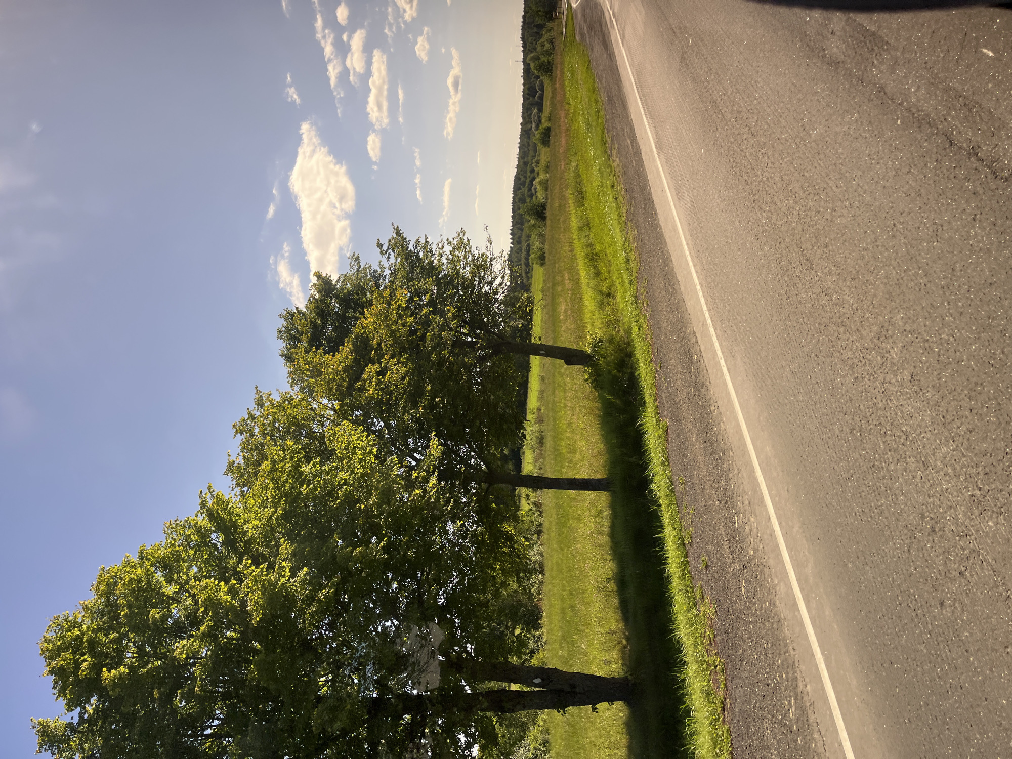 The image depicts a rural landscape with a paved road curving to the right. Three large trees with lush green foliage stand to the left of the road, casting shadows on a grassy field. The field extends into the background, with a line of trees and rolling hills visible in the distance under a partly cloudy blue sky. The scene appears to be taken from a moving vehicle, as indicated by the angle and the slightly blurred texture of the road. The location is specified as Юнькаўскі сельскі Савет, Belarus. There are no people or animals visible in the image.