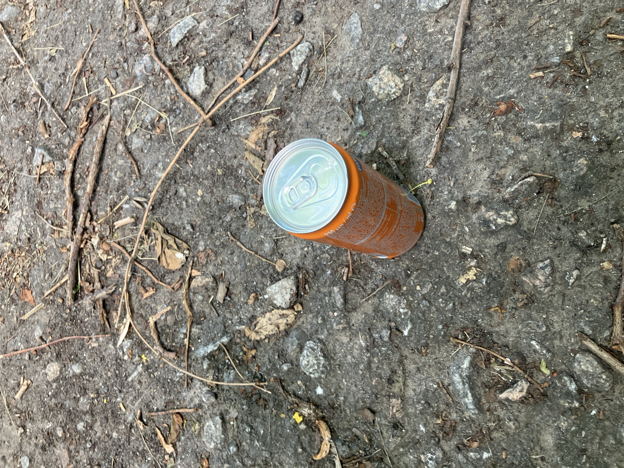 An orange soda can lies on a path made of gravel and dirt. The can is upright and appears to be partially full. The path is covered with small stones and twigs, with a few dry leaves scattered about. The lighting suggests it is daytime. The image does not depict any people or their actions.