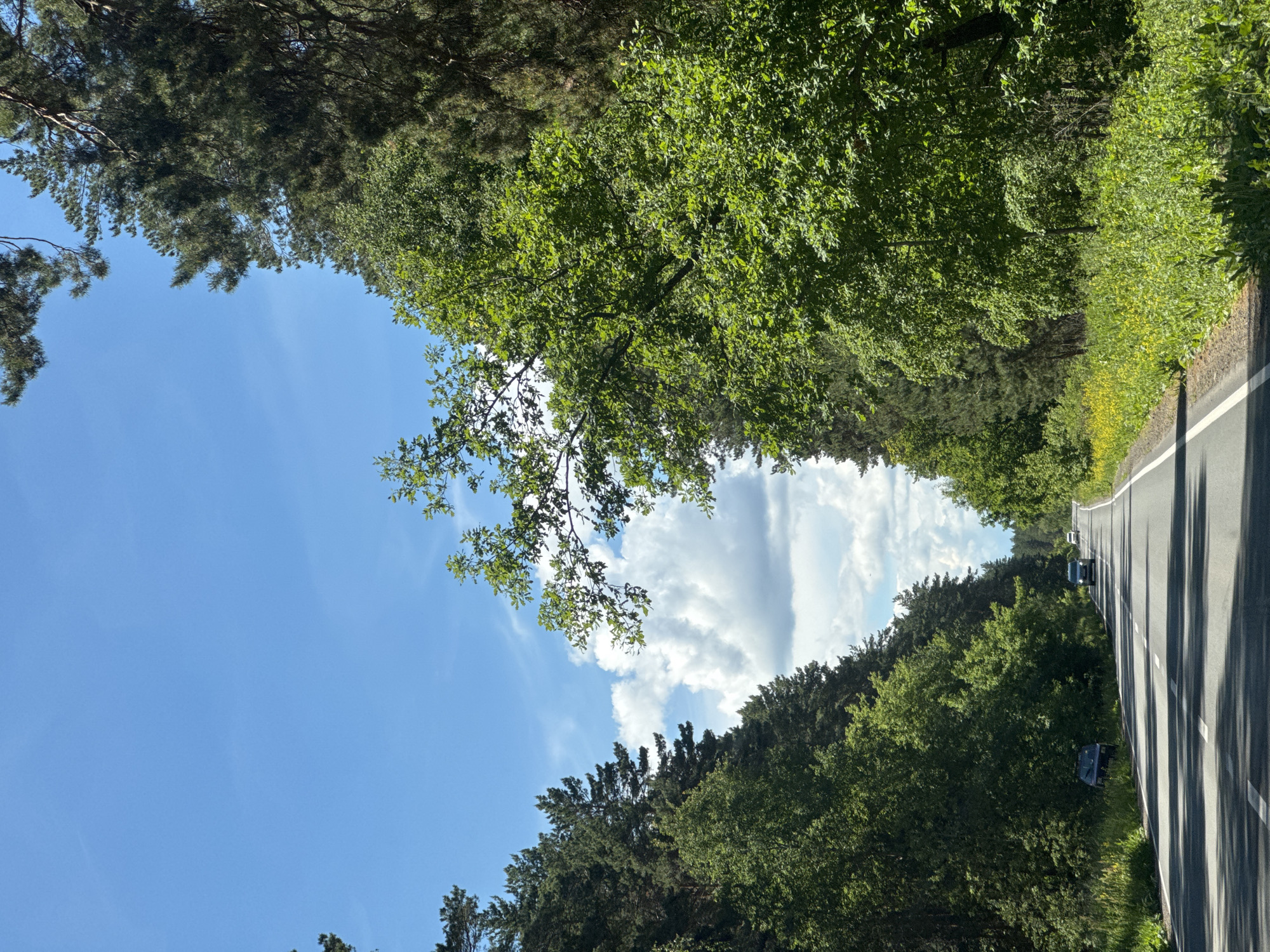 The image depicts a roadway with trees lining both sides, forming a tunnel-like effect. The road is paved and has a white line dividing lanes. There are two cars visible on the road. The sky is visible between the trees and contains blue sky and white clouds. The location is described as "Unknown, Unknown."