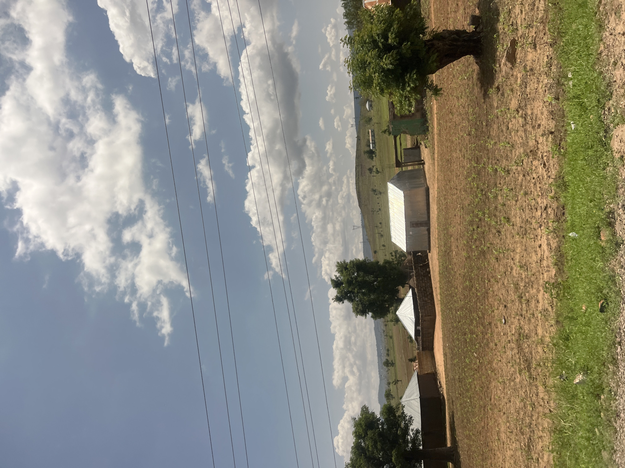 The image depicts a rural or semi-rural landscape in Sabon Layi Jessu, Nigeria, observed under a partly cloudy sky. The upper approximately 50% of the frame is occupied by a light blue sky with numerous white cumulus clouds. Five parallel dark utility lines traverse the sky horizontally.
The midground features undulating terrain with scattered green vegetation and exposed brown earth. Several structures are visible. On the left, a building with a conical, light-colored roof and dark walls is partially obscured by a large, leafy green tree. To its right, another building with a conical, light-colored roof and stone or mud brick walls is present. Adjacent to this, a rectangular building with a light-colored, corrugated metal pitched roof and light-colored walls stands. Further to the right, a structure with a dark green gateway is visible next to a large, gnarled tree with green foliage. In the distant background, on a hill to the right, a metal lattice power transmission tower is discernible, along with other small, indistinct structures.
The foreground is composed primarily of reddish-brown, dry earth, exhibiting patterns of small green sprouts, consistent with young crops, likely planted in rows. A strip of vibrant green grass runs along the bottom edge of the image, interspersed with minor debris. No human subjects are present in the scene.