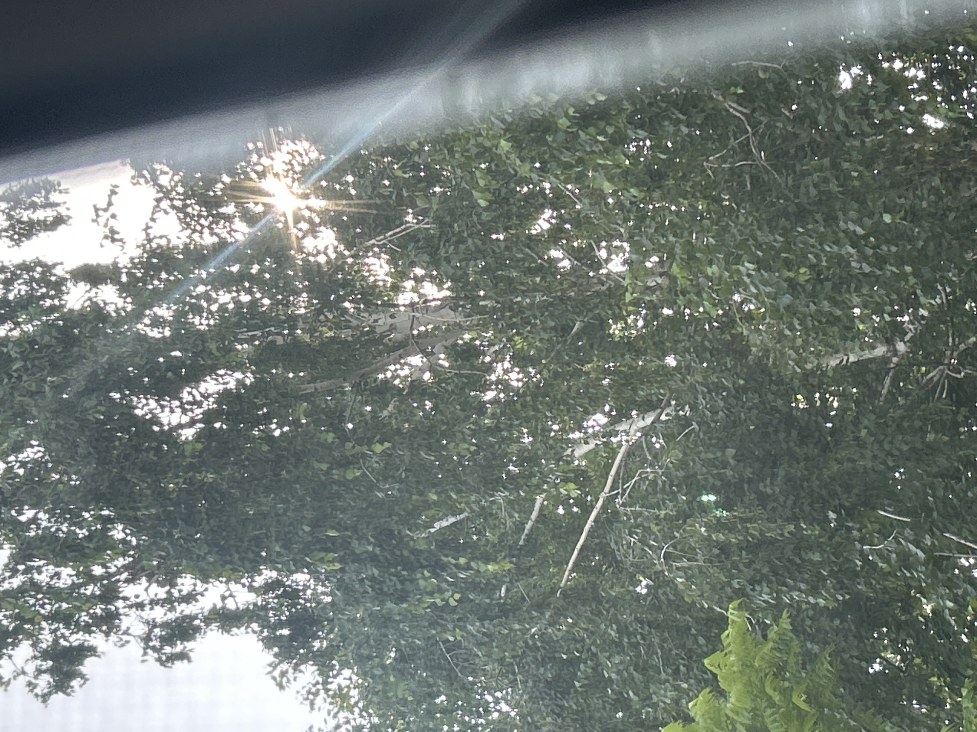 The image shows a close-up view of a birch tree with lush green leaves, illuminated by the sun filtering through the canopy. The sun creates a starburst effect in the center of the image, with rays of light extending outwards. The bark of the birch tree is visible in places, appearing white and peeling. The background is a bright, overcast sky. A dark, out-of-focus object, likely part of a car or window frame, occupies the right side of the frame. The scene is likely outdoors in an urban or suburban environment. There are no people or animals visible in the image. The location is unspecified beyond Russia.