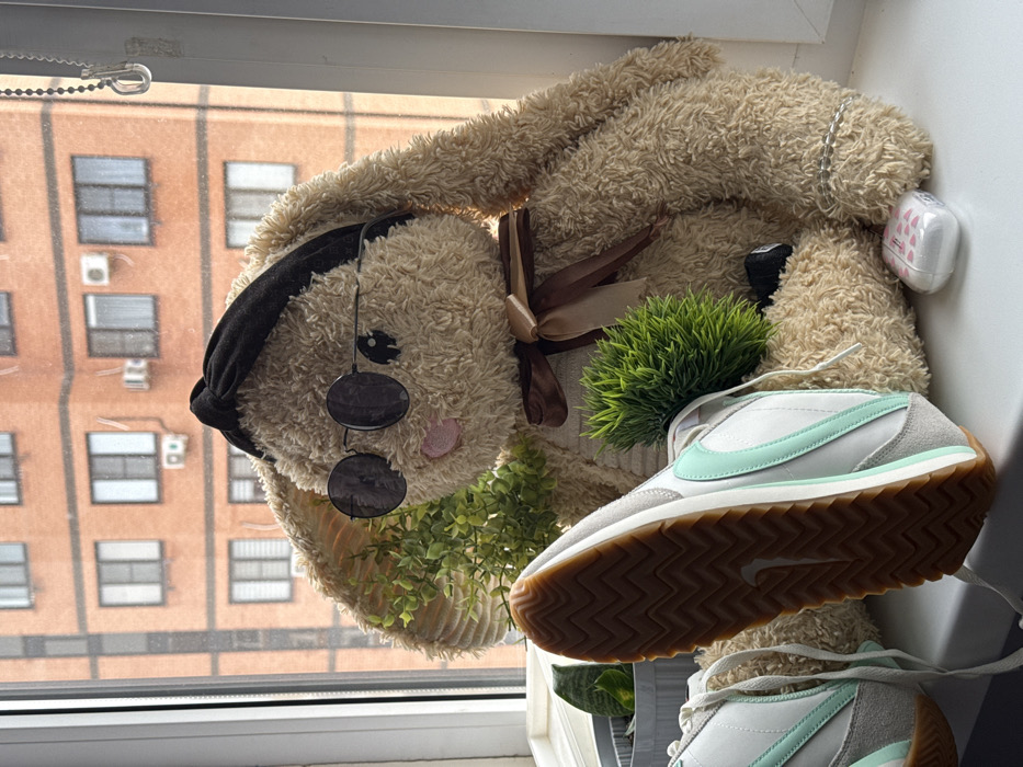 An indoor scene depicts a large, light brown plush rabbit toy positioned on a white windowsill, facing slightly left. The rabbit wears a black knotted headband and round, dark-lensed sunglasses. A brown and light brown ribbon is tied around its neck. To the left of the rabbit, the sole of a light grey and white athletic shoe with a mint green Nike swoosh and a gum-colored, ridged outsole is prominently displayed. A small artificial green plant with bushy leaves is situated near the rabbit's left ear, and another spiky artificial green plant rests between the rabbit's legs. To the right of the rabbit, a clear AirPods case with pink heart designs lies on the windowsill. The background, visible through a large window, features an orange-red brick apartment building with numerous windows and several exterior air conditioning units, indicating an urban setting in the city of Unknown, Unknown. To the far left, a glimpse of a snake plant in a grey pot is visible. A white beaded chain for blinds hangs vertically on the right side of the window frame.