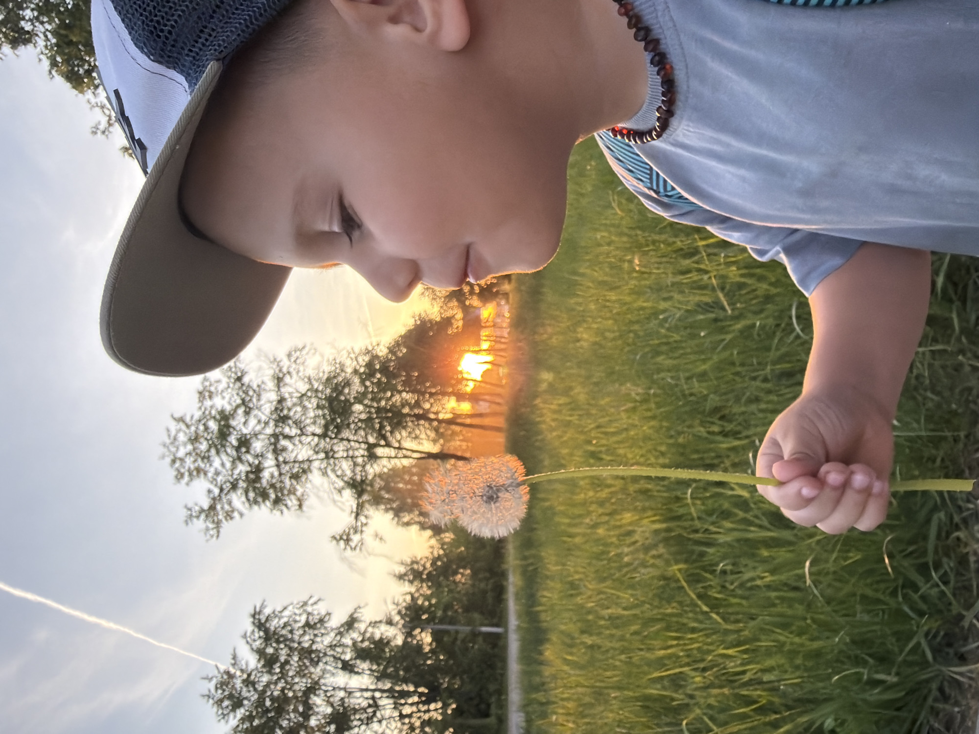 A close-up portrait of a young child holding a dandelion against a sunset backdrop. The child, wearing a cap and necklace, is looking down at the dandelion, which is held in their right hand. The sunset creates a silhouette effect on the nearby trees. There is tall green grass in the lower right portion of the frame. A contrail is visible in the upper left sky.
There is no concrete information in the image to confirm this specific location.