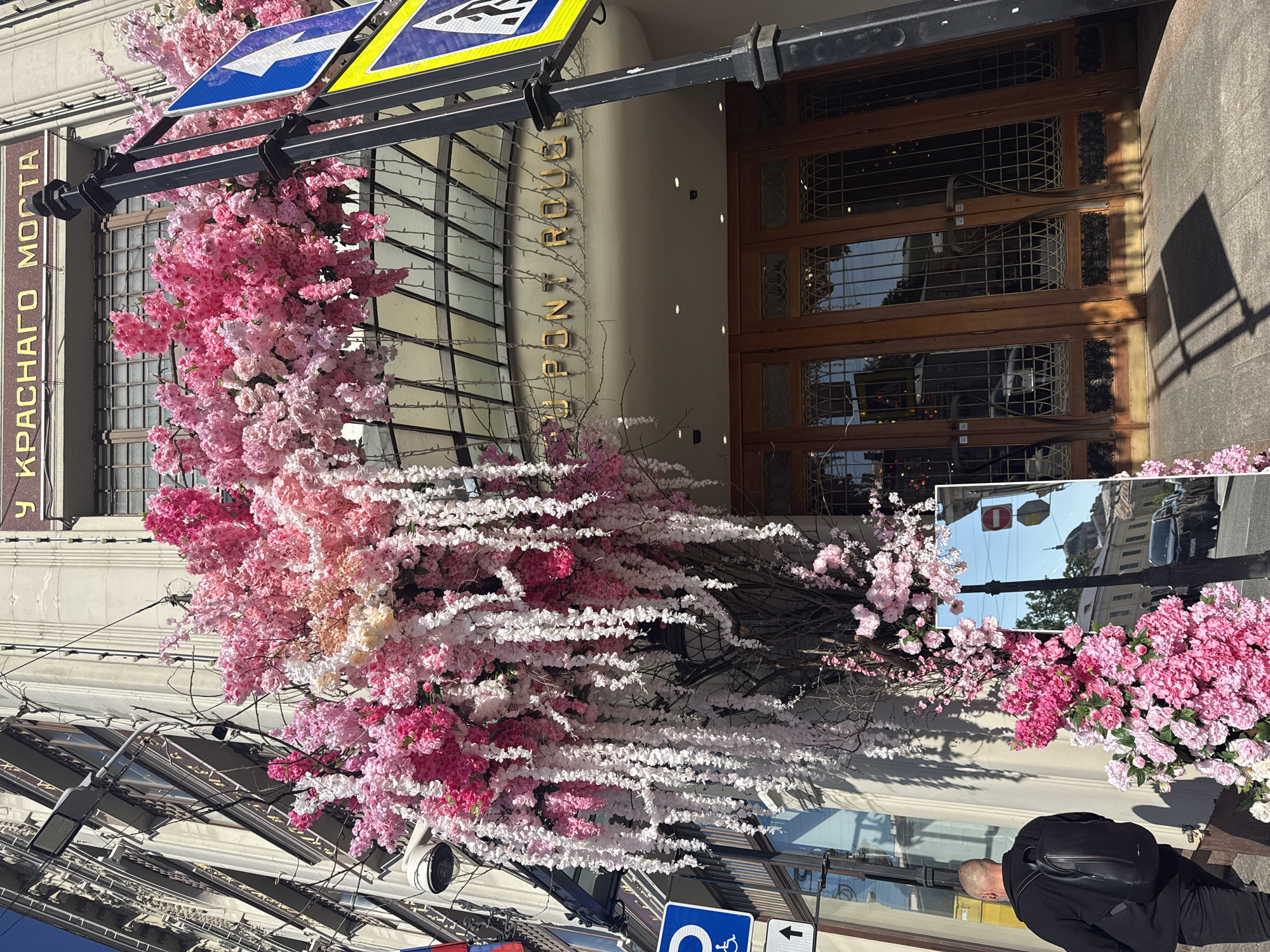 The image presents a daytime street scene, dominated by a building facade elaborately decorated with cascading artificial cherry blossoms in vibrant shades of pink and white. These floral arrangements frame a grand wooden double door entrance, featuring intricate grilles and reflective window panels that show glimpses of the surroundings. Above the entrance, gold lettering spells out "DU PONT ROUGE."
To the left of the entrance, mounted on the building, a sign with Cyrillic text clearly reads "КРАСНАГО МОСТА" (KRASNOGO MOSTA), which translates to "RED BRIDGE." The bright sunlight casts distinct shadows on the building's exterior, indicating a clear, sunny day.
In the lower right, a bald man is seen from behind, dressed in a black top and carrying a black backpack, walking past the floral display. Several traffic signs are visible, including a blue and yellow sign for a pedestrian crossing, a blue sign with a left arrow, and another blue sign depicting a handicapped parking symbol. A large rectangular mirror, strategically placed amidst the flowers, reflects a segment of the street opposite, showing a "No Entry" sign, a distant lamppost, and other buildings under a bright sky. Security cameras and light fixtures are also mounted on the building's facade.
The combination of Cyrillic and French text, alongside the "Red Bridge" reference, strongly suggests the location is Saint Petersburg, Russia, as provided in the context. The extensive floral decoration adds a lively and festive ambiance to the urban setting.