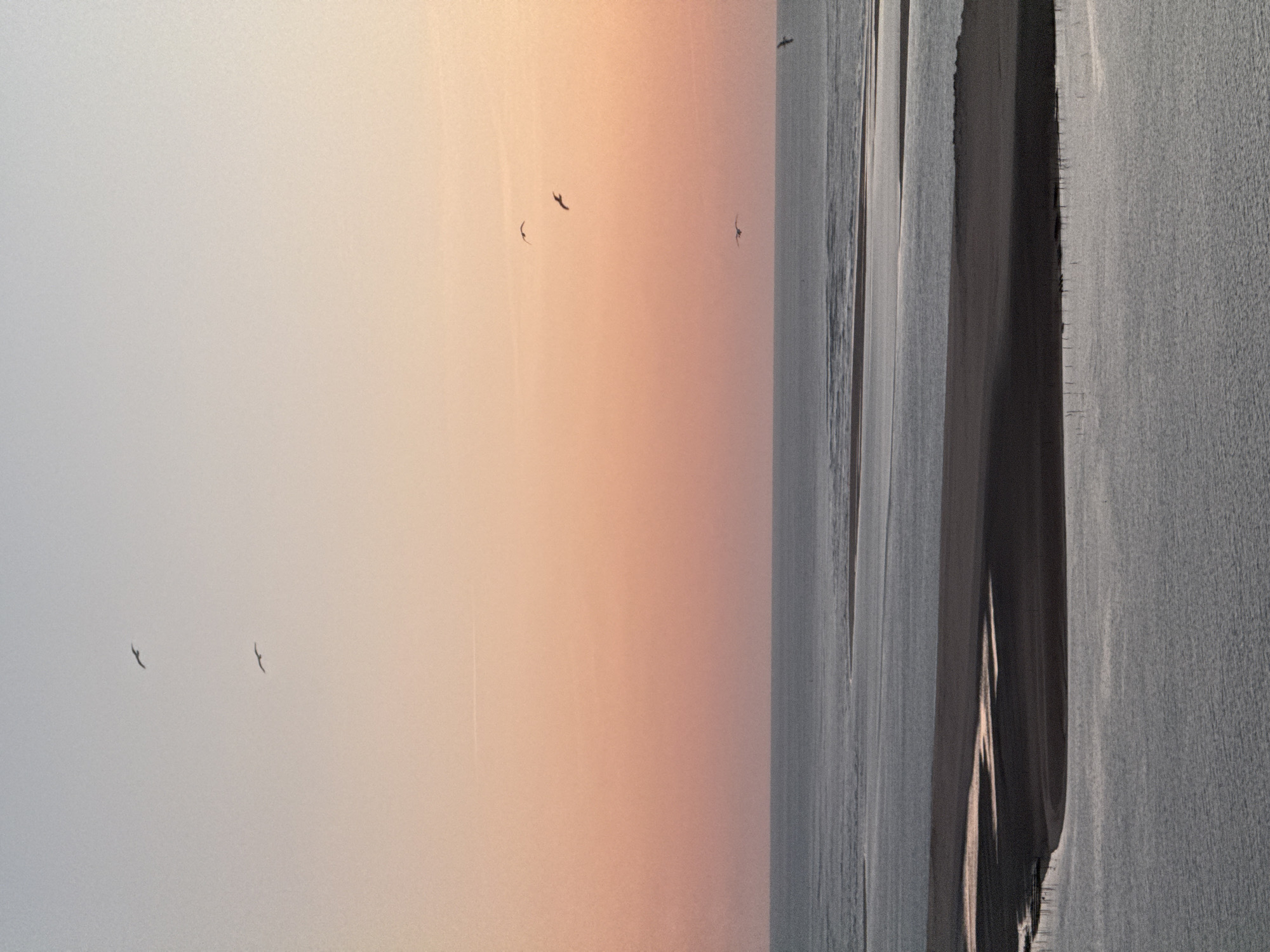 The image depicts a serene coastal scene, likely at dusk or dawn, with a soft gradient of pastel colors in the sky, transitioning from a pale blue at the top to a warm peachy-pink towards the horizon. Several seagulls are captured in flight against this tranquil sky. The foreground is dominated by the ocean, with calm waters reflecting the sky's colors. A sandbar or island is visible in the mid-ground, its dark silhouette contrasting with the lighter water. The overall impression is one of peacefulness and natural beauty. This scene is consistent with the coastal landscapes found in La Teste-de-Buch, France, particularly along the Dune du Pilat and the Bassin d'Arcachon, known for their expansive beaches, sandbars, and abundant birdlife.
