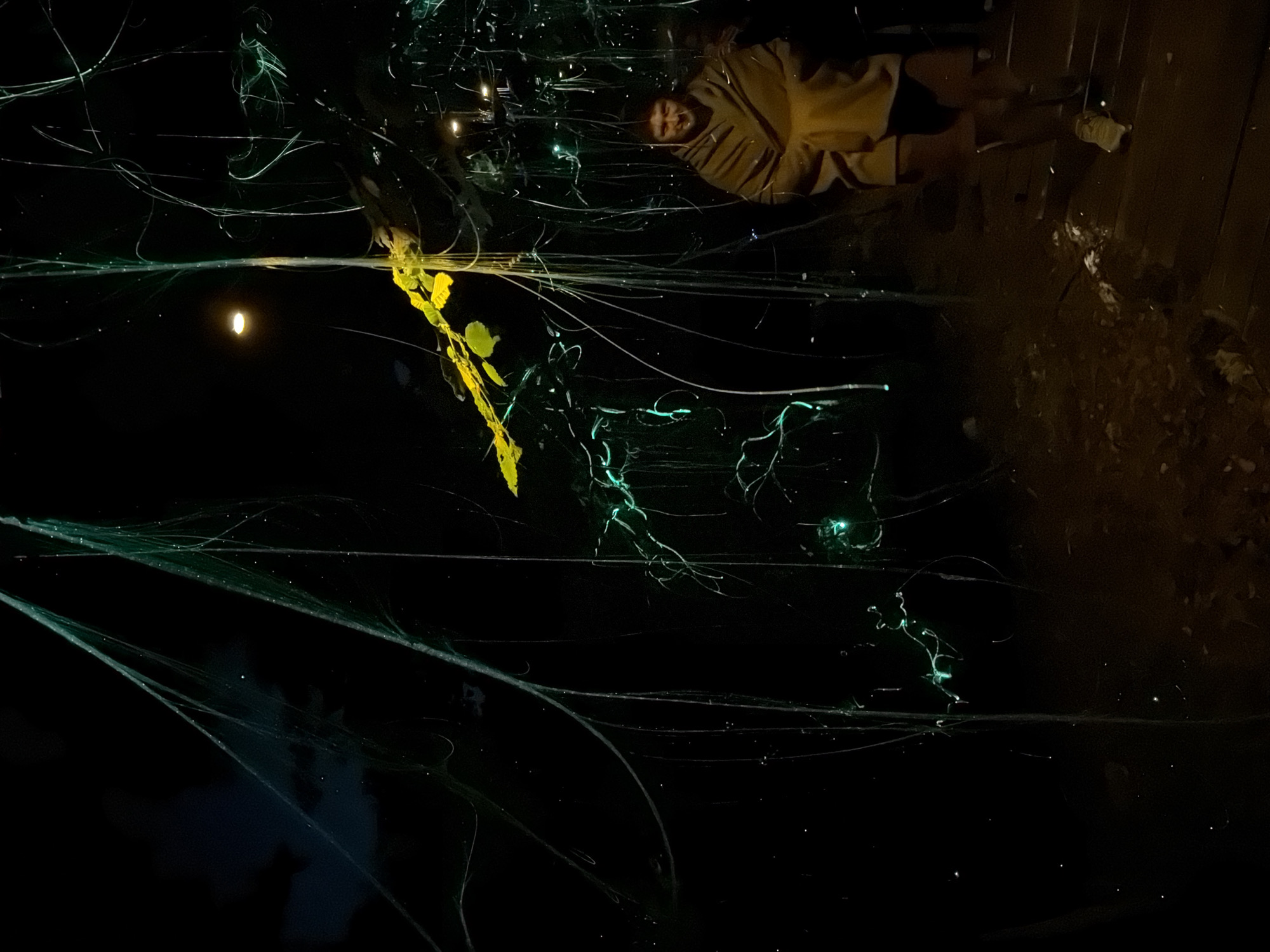 The image is a long exposure photograph taken at night in what appears to be a rural area. A person is visible at the top center of the frame, near what may be a wooden deck. The person is wearing light-colored clothing. There is a patch of yellow leaves at the center-left. The most prominent features are the streaks of green light that zigzag across the frame, likely due to long exposure capture. A bright moon is visible in the top left. The dark patches are likely trees or shadows from a city in Bukovik, Montenegro.