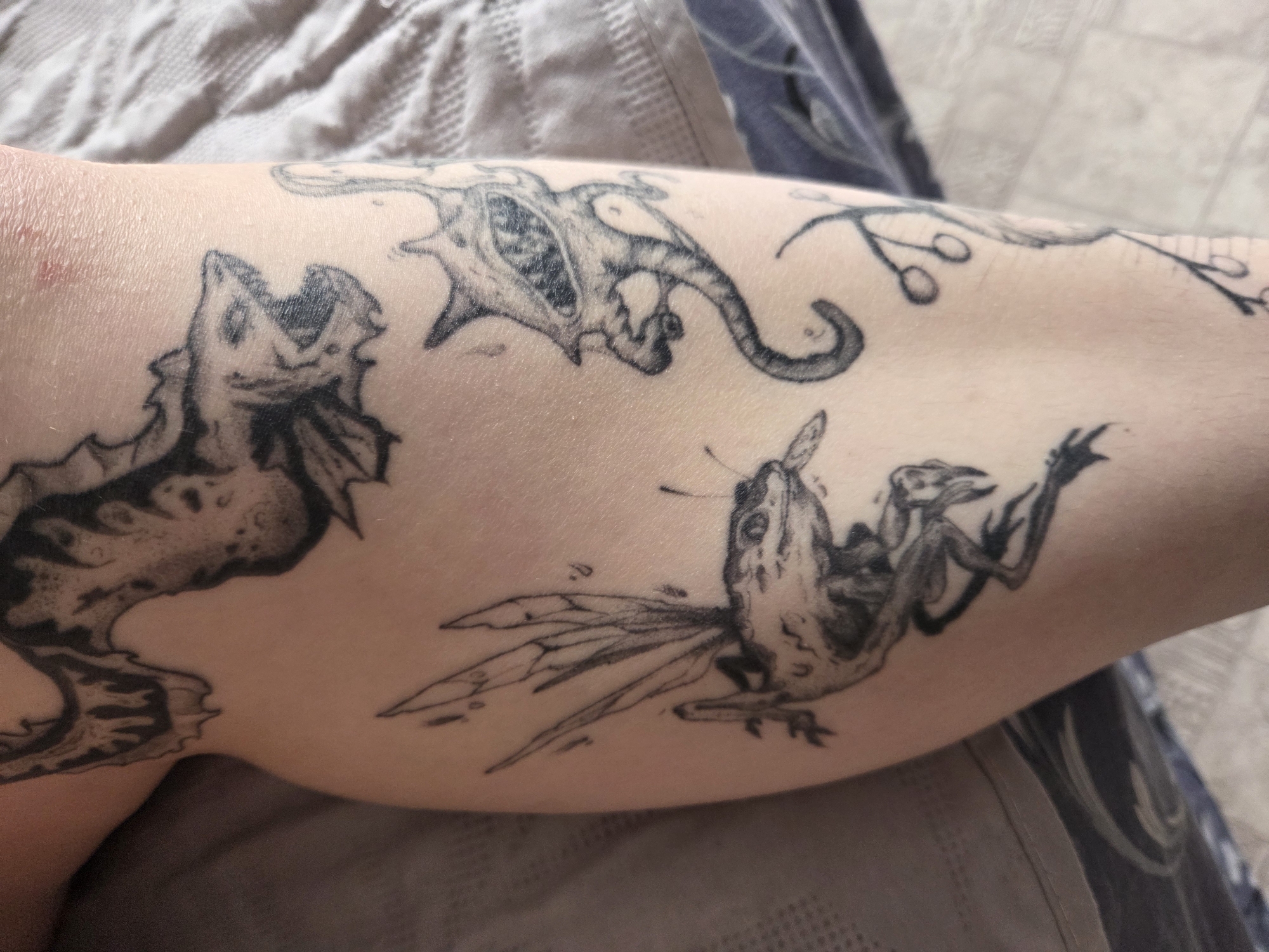 The media file displays a close-up view of a person's arm, likely a forearm or bicep, adorned with multiple black-ink tattoos. The arm has fair skin with visible pores and fine hair. A small, faint reddish mark is present on the upper left side of the arm.
The tattoos depict several stylized, fantastical creatures. On the left, a large, dark creature resembling a dragon or sea serpent is visible, featuring an open mouth and a textured body. Above it, another tattoo shows an abstract, skull-like figure with an elongated, curved tail or appendage. In the lower central part of the arm, a creature resembling a winged frog or lizard is depicted, looking upwards, with prominent wings extending from its back. To its right, another smaller, possibly skeletal, creature with raised limbs is visible. Along the upper right edge of the arm, a simple outline of a branch with several berries or small fruits is tattooed.
The arm is positioned over or against soft, patterned fabric, which appears to be bedding or clothing, with a lighter-colored fabric on the left and a darker, patterned fabric on the right. The lighting suggests an indoor setting. There is no discernible activity other than showcasing the tattoos. No text is visible in the image. The provided context of "Chaikovsky, Russia" cannot be confirmed by any visual cues within the image itself.