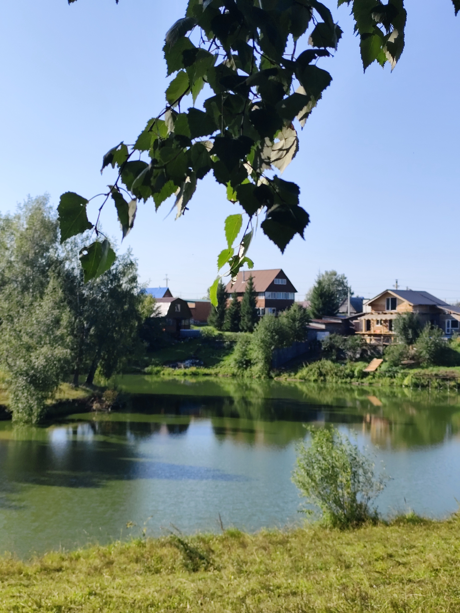 This image depicts a tranquil waterside scene in the city of Barlaksky, Russia, on a clear, sunny day. In the foreground, lush green grass lines the bank of a serene body of water, which reflects the clear blue sky and the surrounding environment. The water itself has a greenish hue and appears calm, with subtle ripples disturbing its surface.
Dominating the middle ground is a cluster of houses situated on a gentle incline leading down to the water. These structures vary in architectural style, with some featuring wooden facades and pitched roofs, indicative of a rural or semi-rural setting. One house on the right is notably multi-story with balconies and a dark roof, while another on the left is a simpler, darker-colored dwelling. The houses are nestled amongst mature trees and dense green foliage, creating a sense of harmony with nature.
In the background, the sky is a vibrant, cloudless blue, suggesting fair weather. Partially obscuring the sky in the upper portion of the image are the dark green leaves and branches of a tree, casting subtle shadows and adding depth to the composition. These leaves are sharply defined against the bright sky. No people are visible in the image, and the scene is one of quiet, natural beauty and residential life in Barlaksky.