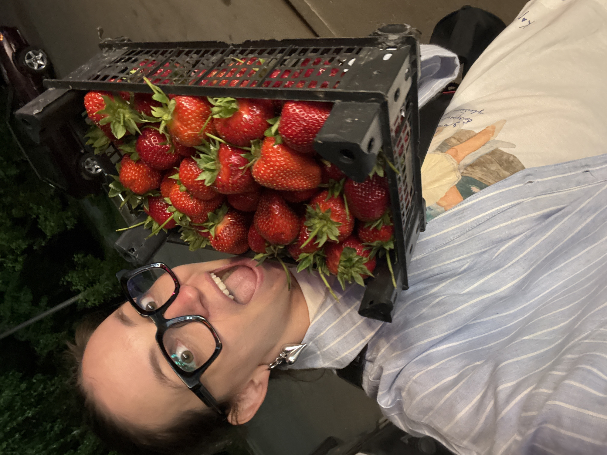 A person wearing eyeglasses and a dangling earring is lying down, with their mouth open to receive strawberries from a black plastic crate positioned directly above their face. The person is wearing a blue and white striped shirt. The crate is full of ripe red strawberries with green stems. The background includes a glimpse of a car and some foliage. The location is unknown.