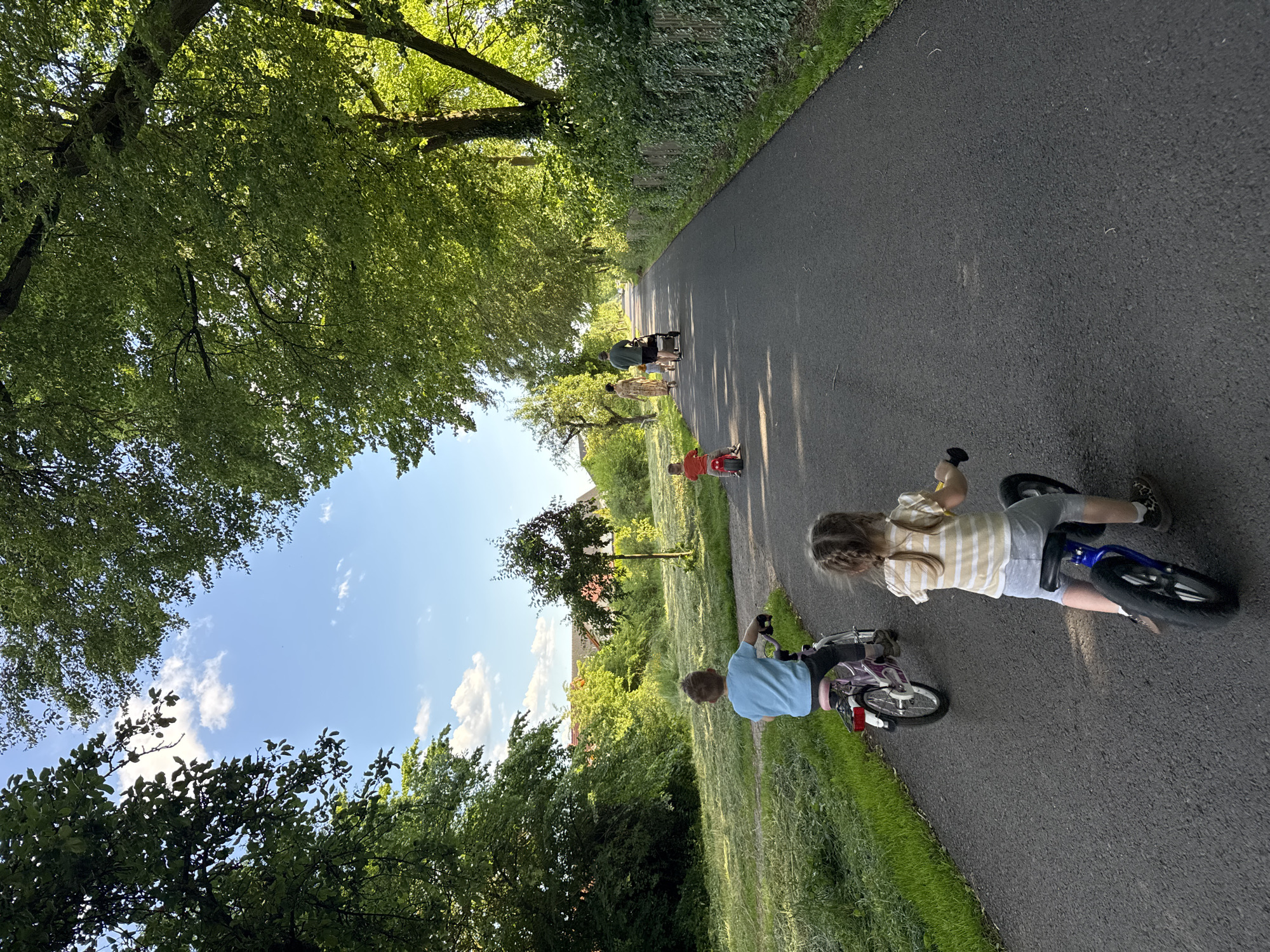 A low-angle, full shot captures a group of people biking and walking down a paved path lined with lush green trees on both sides, under a bright blue sky with scattered clouds. In the foreground, two children are on balance bikes, facing away from the camera. The child on the left, with blond hair in braids, wears a yellow and white striped shirt and grey shorts. The child on the right, with short brown hair, wears a light blue t-shirt and dark pants. Further down the path, a second boy on a red motorcycle is also facing away. At a greater distance, two adults and a small child walk ahead, with one adult pushing a stroller. The path curves to the right, and on the left, a grassy field with cut grass extends towards buildings in the distance. The right side of the path is bordered by a dense green hedge and a wooden fence. The lighting suggests it is late afternoon.