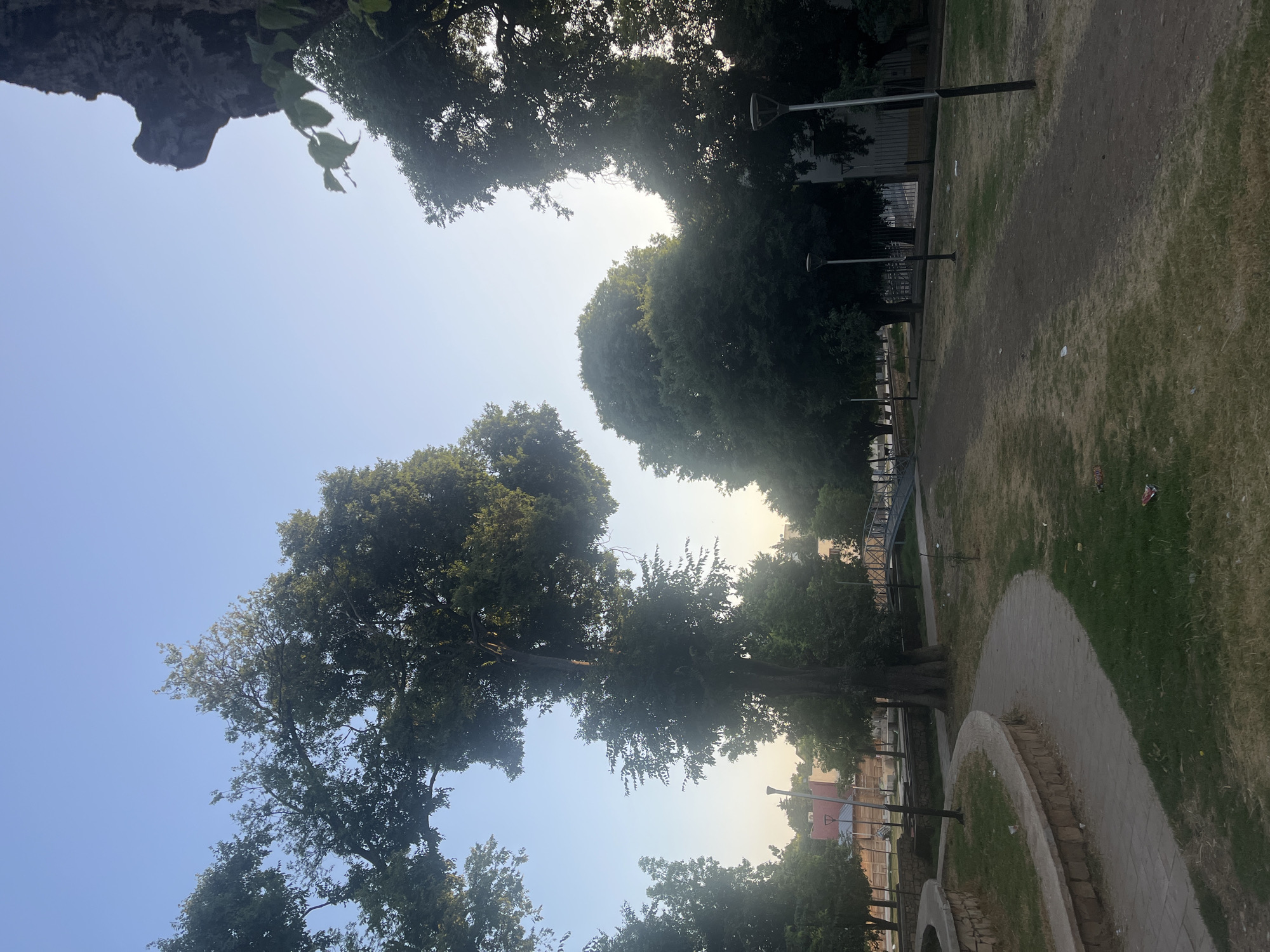 The image depicts a park scene in El Hajeb, Morocco, bathed in the soft light of early morning or late afternoon. Tall, leafy trees dominate the landscape, their branches arching towards a clear, pale blue sky. A paved pathway, winding and curving, meanders through the park, bordered by patches of dry, mown grass and stone walls. Several lampposts are visible along the paths, suggesting the park is illuminated at night. In the background, a pedestrian bridge spans a slight incline, and various buildings, including a structure with a red roof, are partially obscured by the trees. The overall atmosphere is one of tranquility, with no people or animals present in the frame.