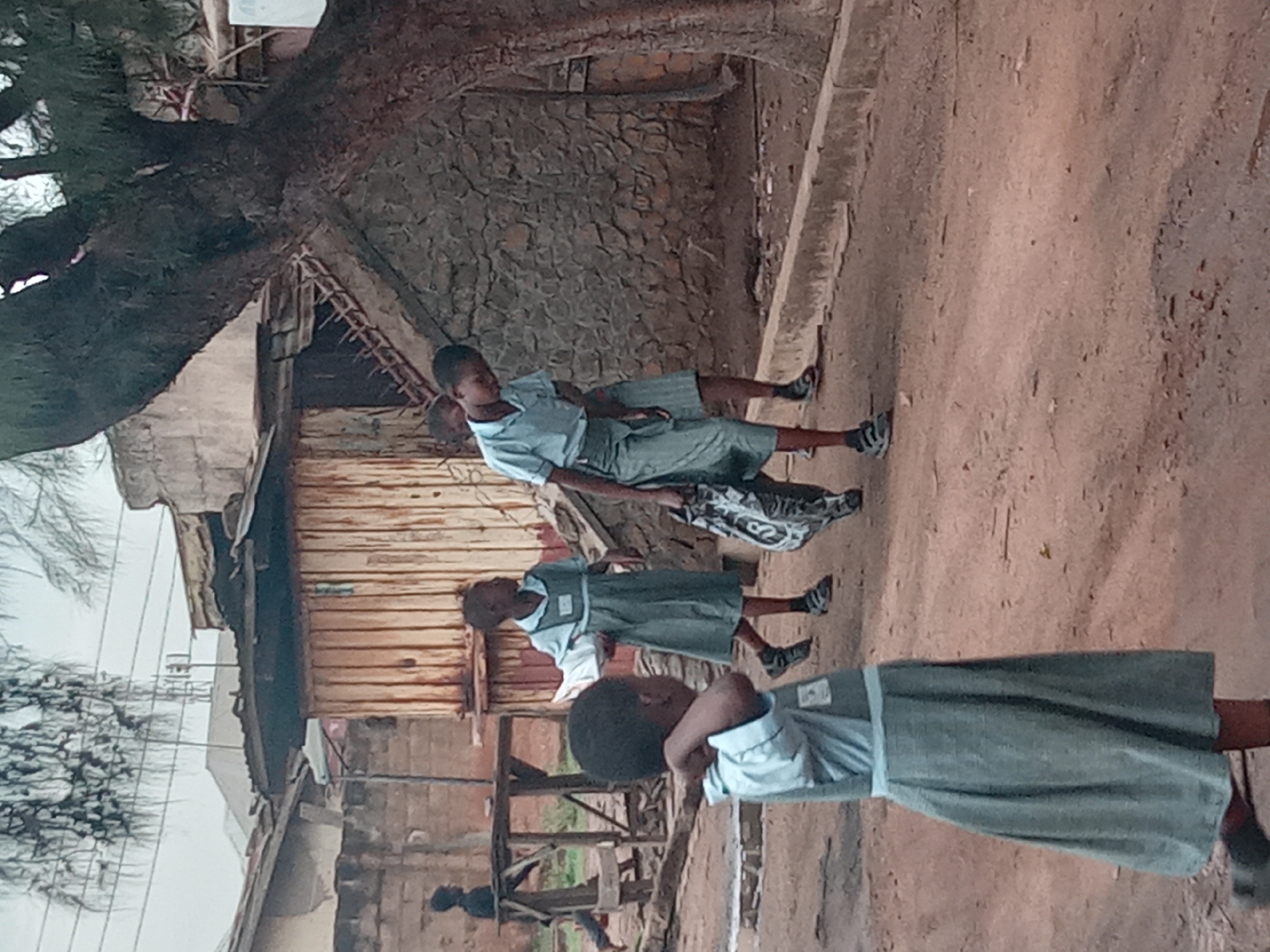 Three schoolgirls wearing gray and light blue uniforms walk along a dirt path in Sabon Tasha, Nigeria. The area appears impoverished with dilapidated wooden structures. A large tree overhangs the path. One girl carries a white and black patterned bag. A stone wall is visible in the background.