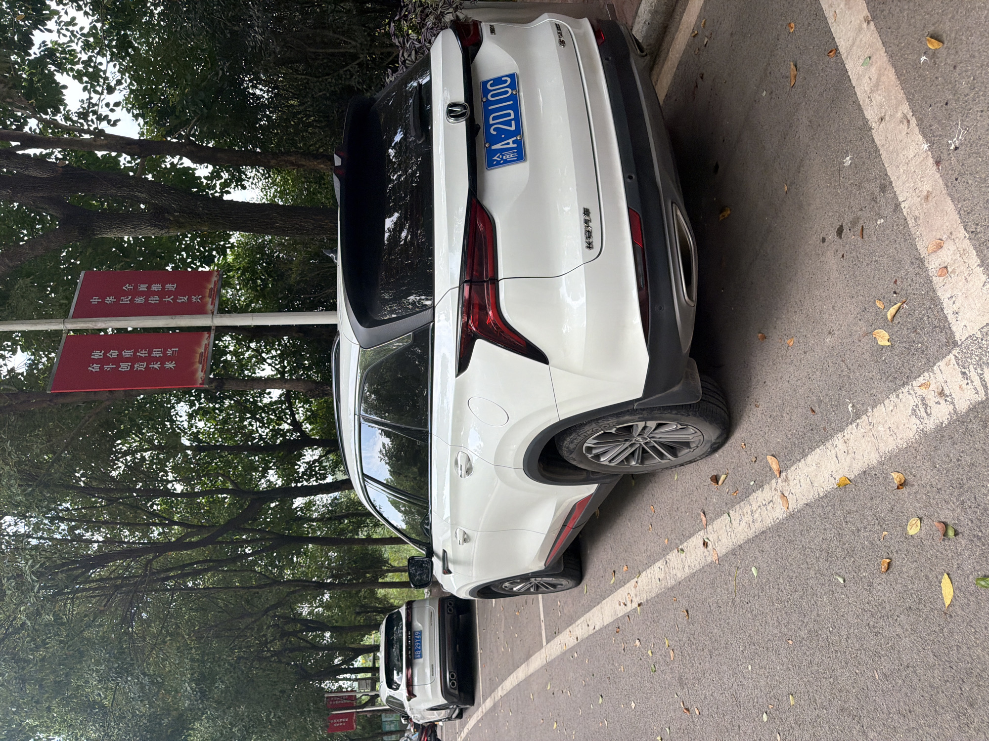 A white Changan SUV is parked on the right side of a paved road in Jiangjin, China. The vehicle's license plate reads "A 2D10C". In the background, another white SUV is parked further down the road, with its license plate reading "5B 29149". Trees line the left side of the road, and red banners are hanging from a pole. Fallen leaves are scattered on the road and sidewalk.