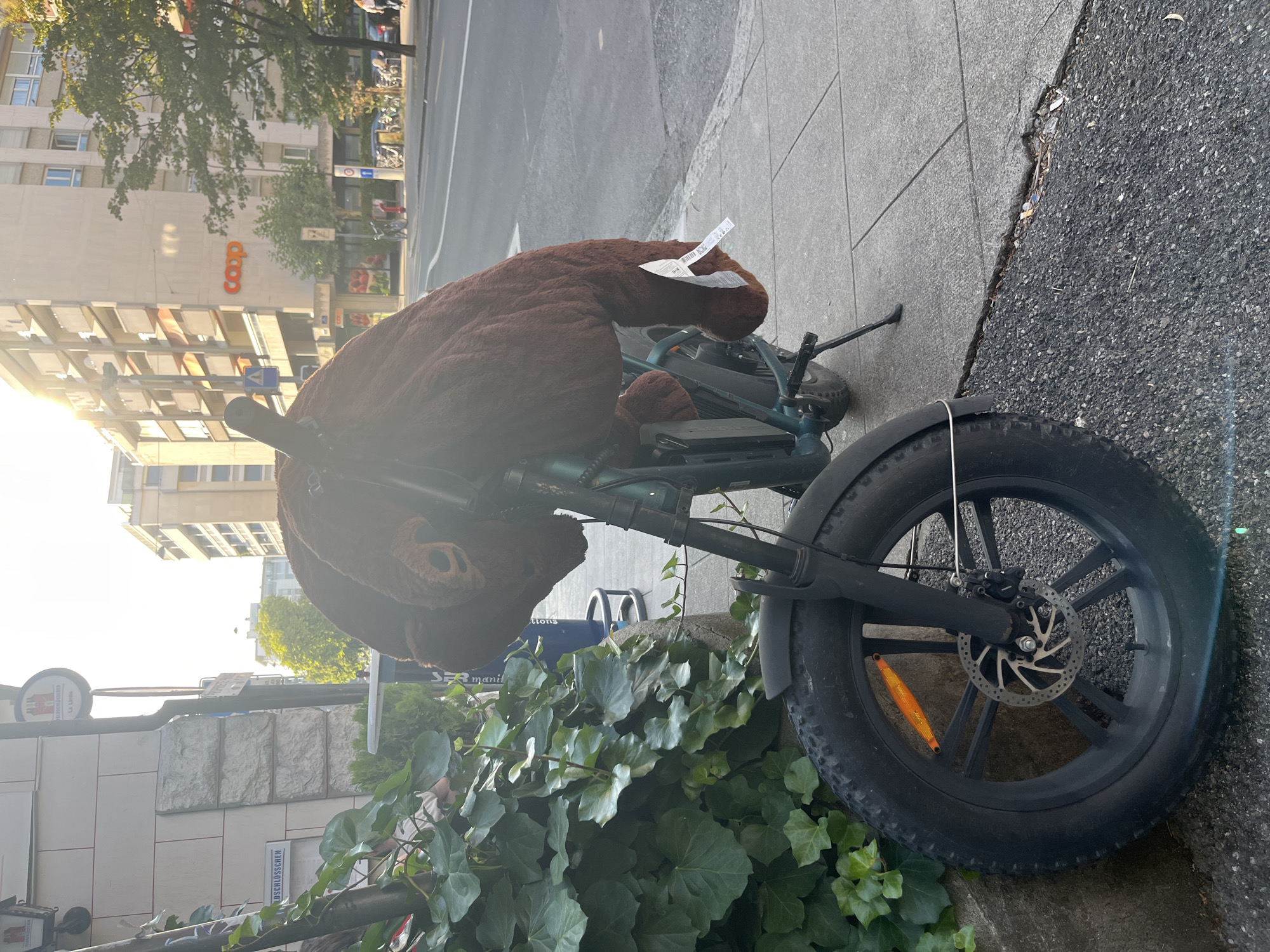 A large, stuffed brown bear is sitting on a dark green electric bicycle parked on a sidewalk in Geneva, Switzerland. The bear is positioned as if it's riding the bike, with its fuzzy head leaning forward. Two white price tags are attached to the bear's ears.
The bicycle has wide tires, a disc brake on the front wheel, and a kickstand. It is parked next to a stone sidewalk and a grey asphalt road. Lush green ivy is growing up the side of a building to the left of the bicycle, partially obscuring the lower part of the bike.
In the background, there is a building with several floors and windows, and the "coop" logo is visible on its facade. Trees with green foliage are also present. The sun is shining, casting a warm glow and lens flare onto the scene, suggesting it is late afternoon or early evening. The overall impression is a quirky and unexpected sight on a city street. There are no people clearly visible in the image.